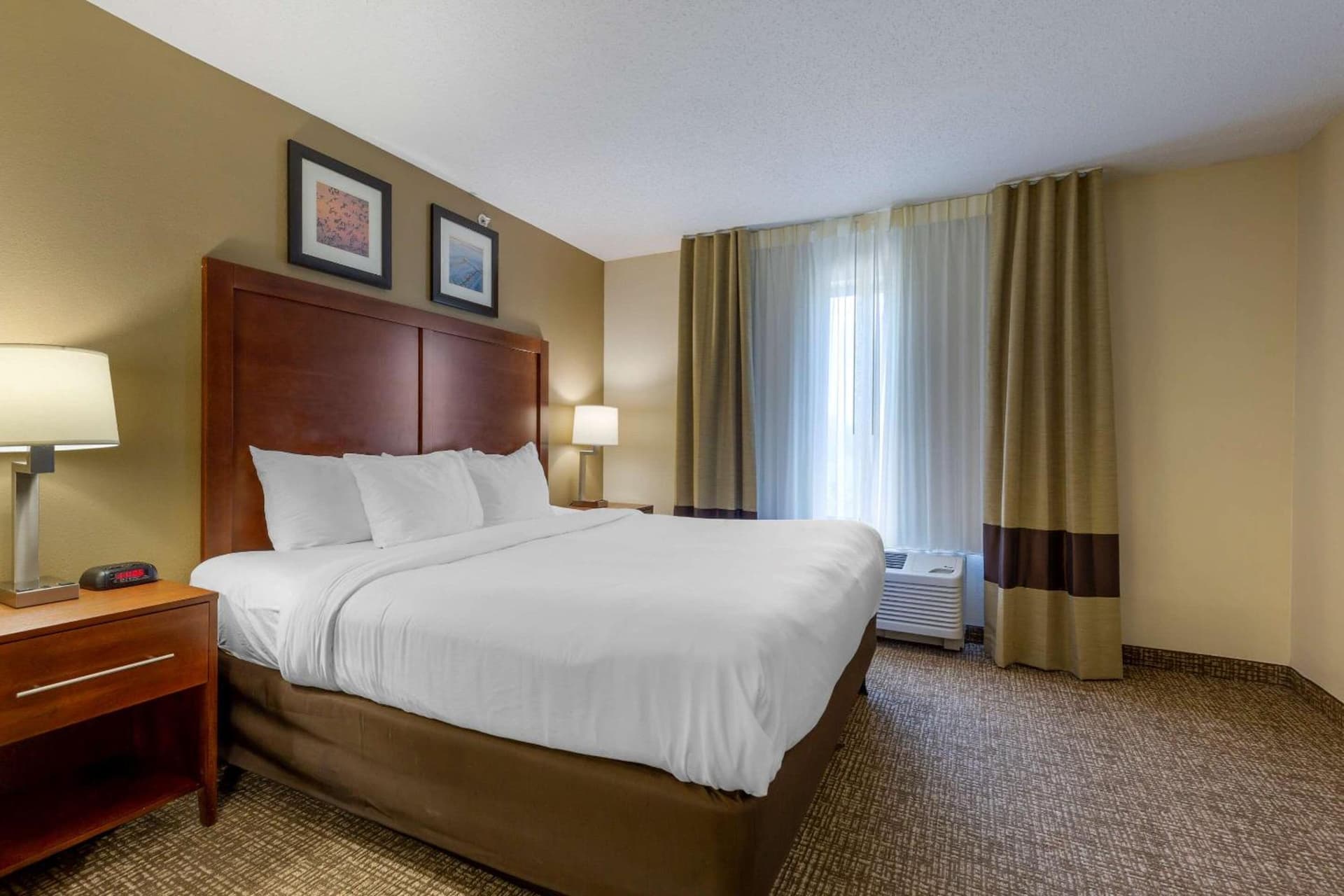 Comfort Inn & Suites Cambridge gallery photo in Cambridge, MD — image 19