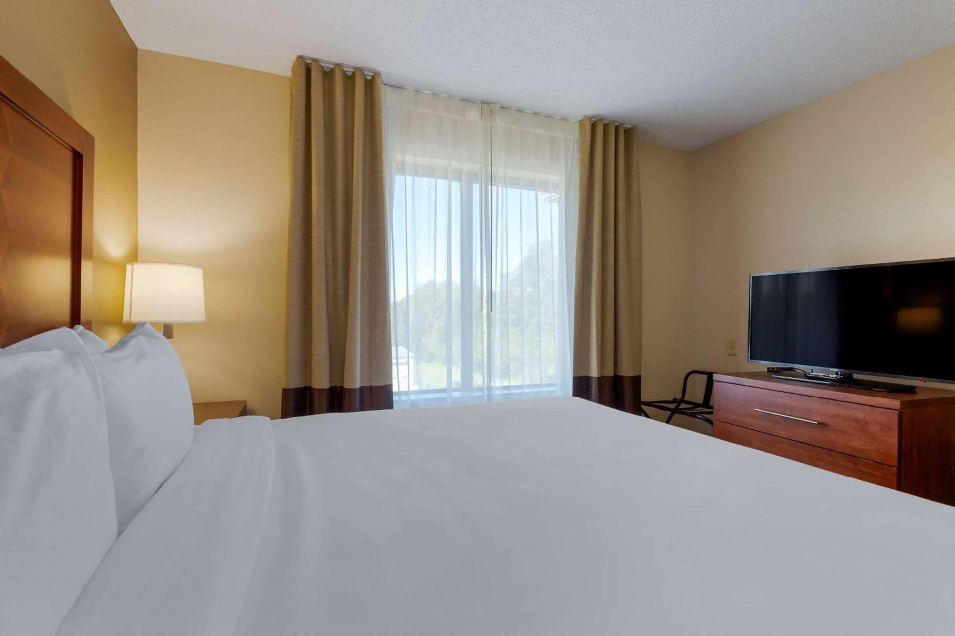 Comfort Inn & Suites Cambridge gallery photo in Cambridge, MD — image 37
