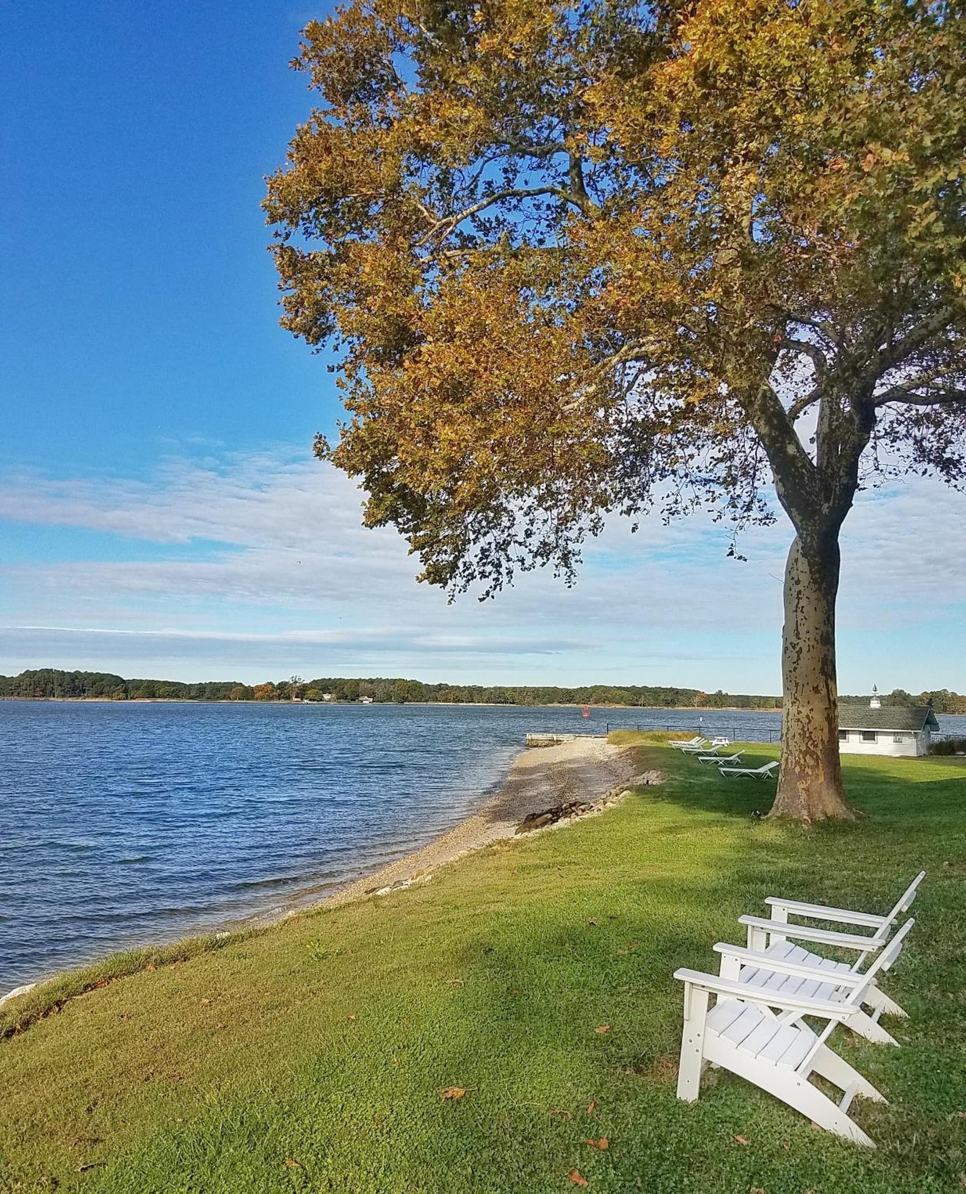 Sandaway Suites & Beach gallery photo in Oxford, MD — image 169