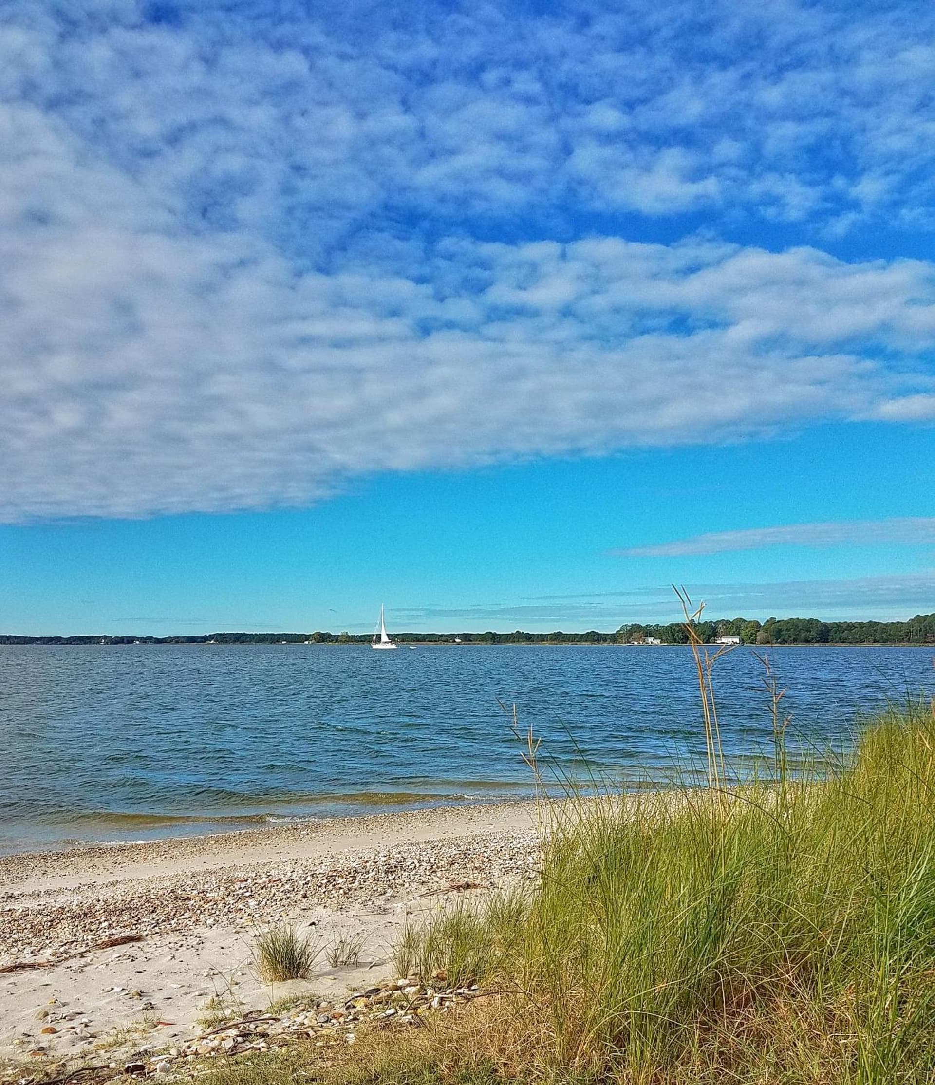 Sandaway Suites & Beach gallery photo in Oxford, MD — image 104