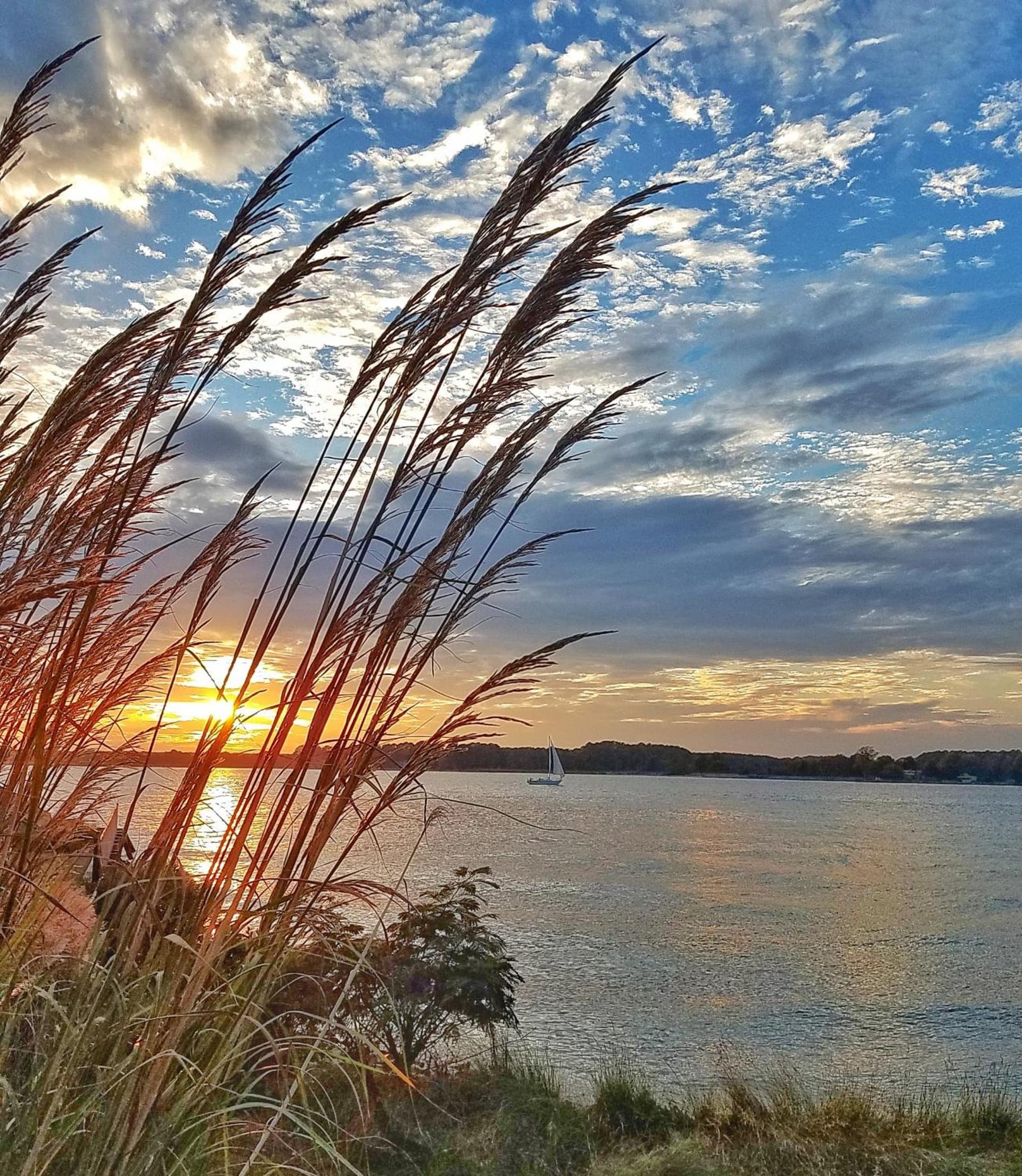 Sandaway Suites & Beach gallery photo in Oxford, MD — image 6