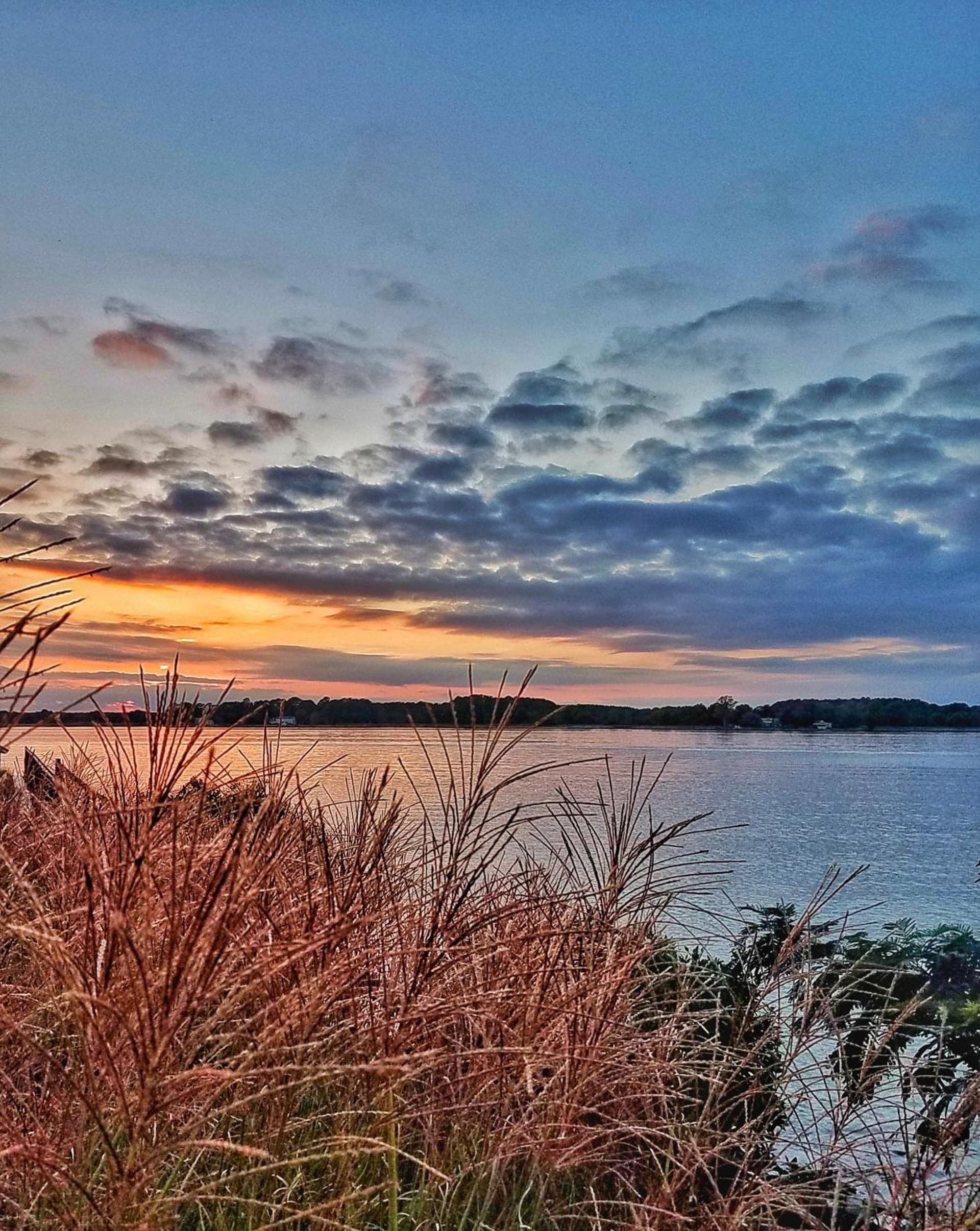 Sandaway Suites & Beach gallery photo in Oxford, MD — image 31