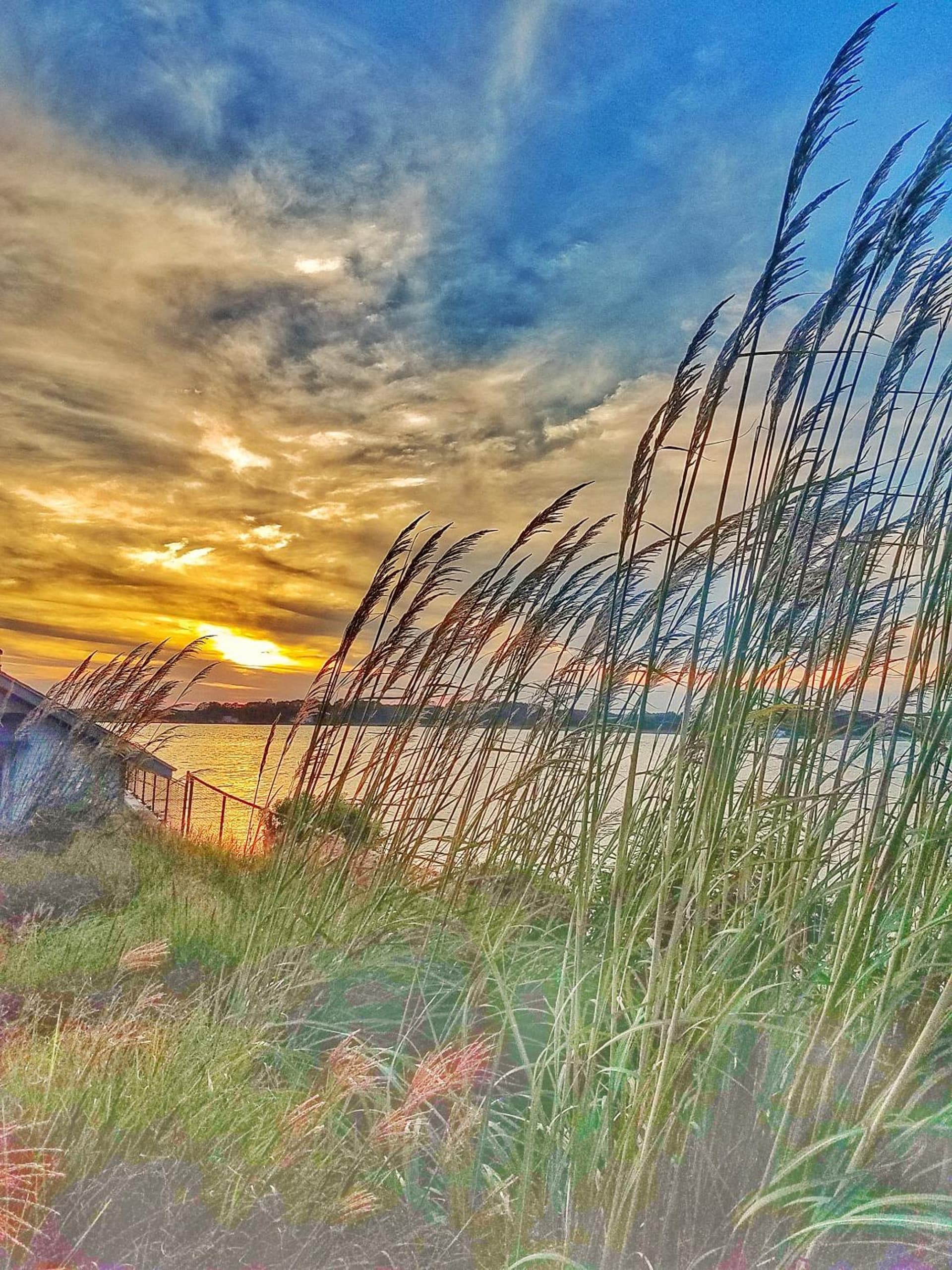 Sandaway Suites & Beach gallery photo in Oxford, MD — image 114