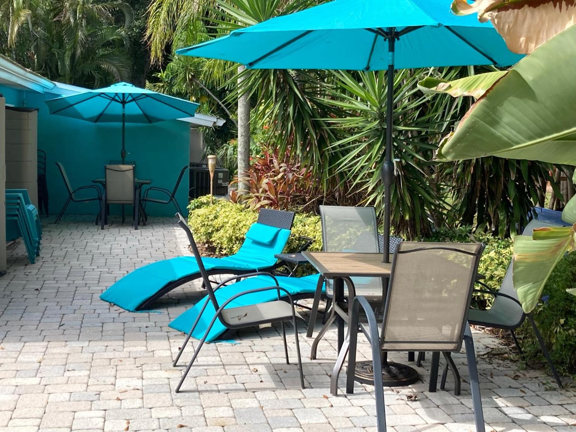 3Gulls Inn Ozona-Boutique Hotel-Steps from Restaurants & Brewery-SwimSpa Pool-Pet Friendly gallery photo in Palm Harbor, FL — image 26