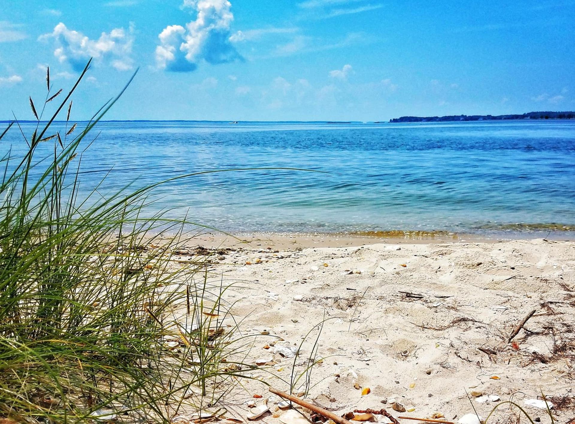 Sandaway Suites & Beach property views in Oxford, MD — gallery photo 3