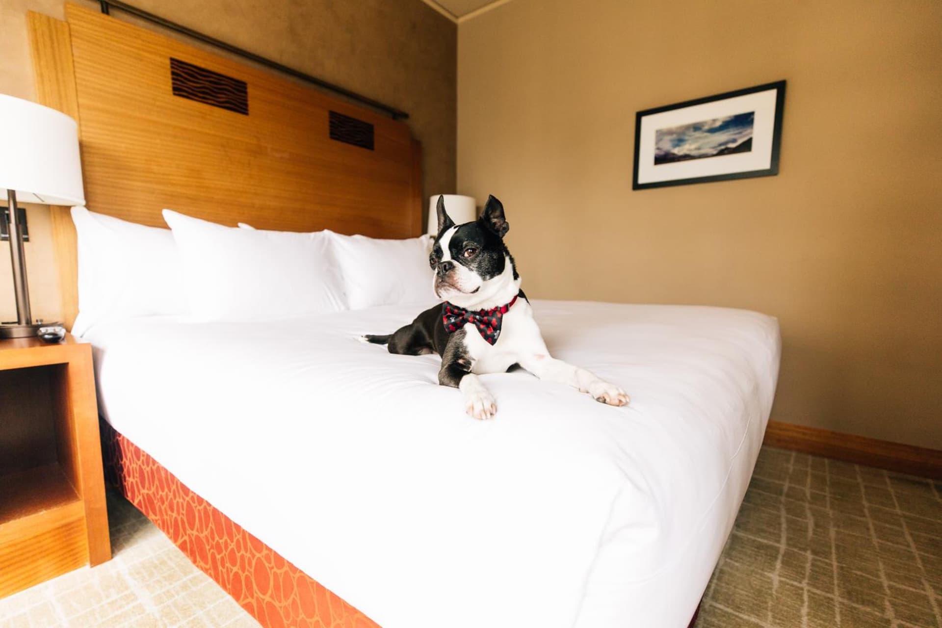 Grand Hyatt Seattle gallery photo in Seattle, WA — image 42