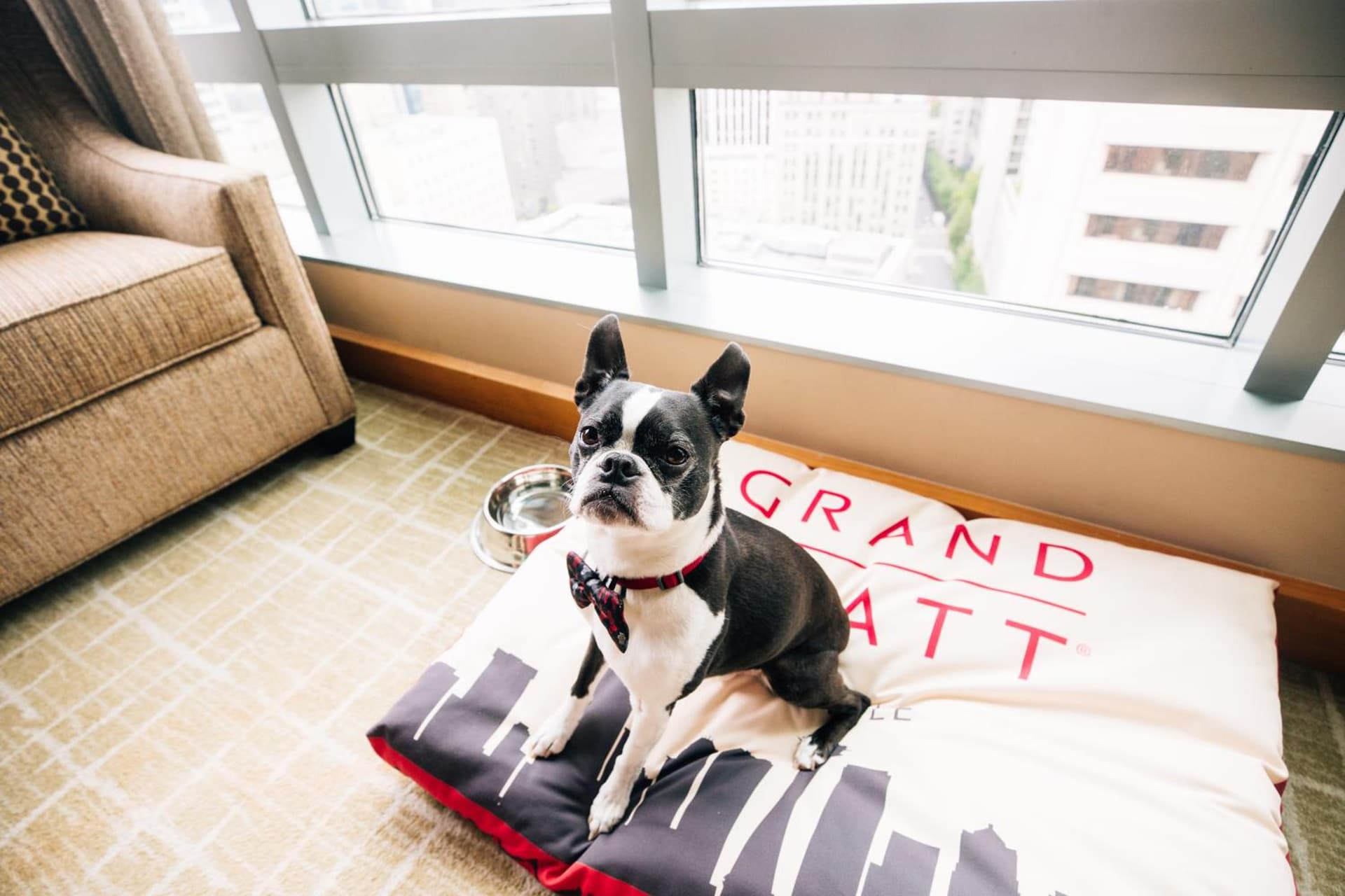Grand Hyatt Seattle gallery photo in Seattle, WA — image 23