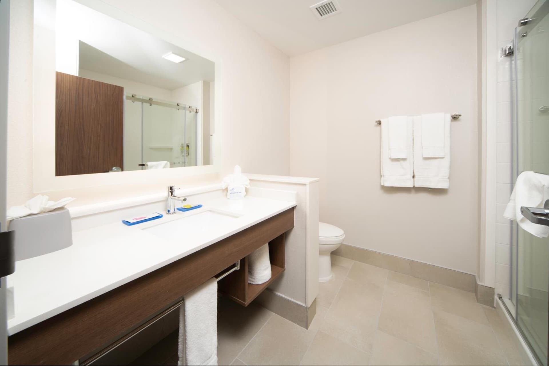 Holiday Inn Express & Suites - Fort Myers Airport by IHG gallery photo in Fort Myers, FL — image 42