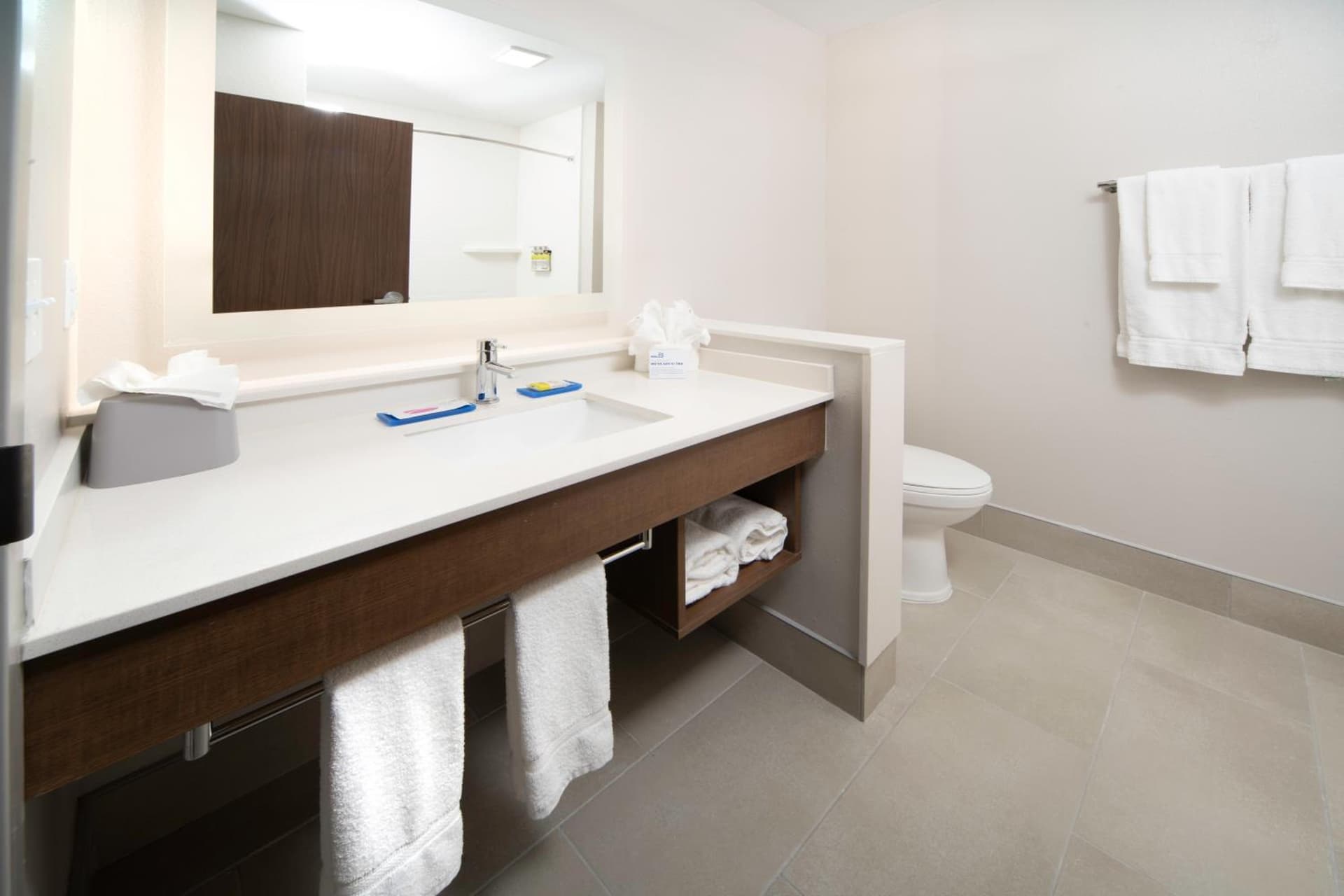 Holiday Inn Express & Suites - Fort Myers Airport by IHG gallery photo in Fort Myers, FL — image 23