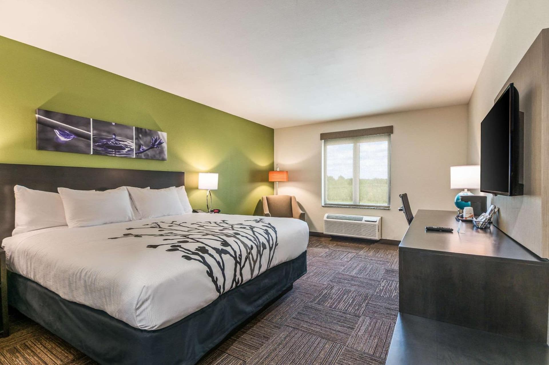 Sleep Inn Baxley interior in Baxley, GA — gallery photo 2