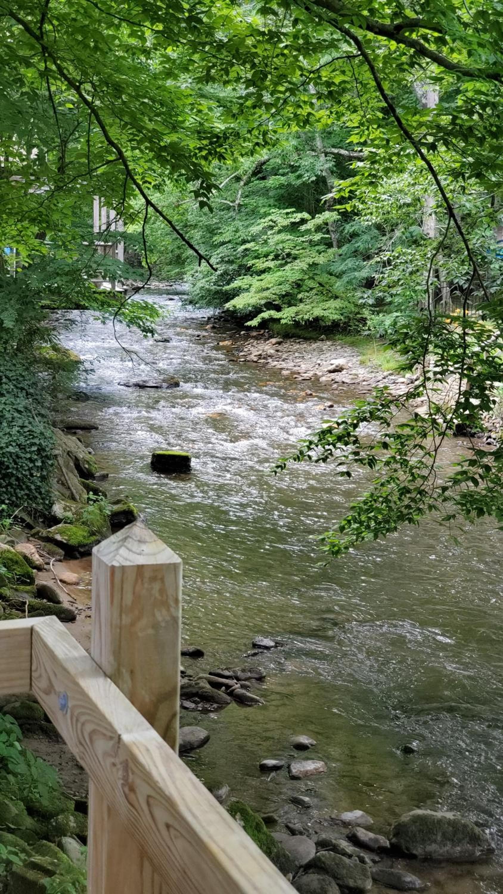 Cozy Creek Cottages property views in Maggie Valley, NC — gallery photo 3
