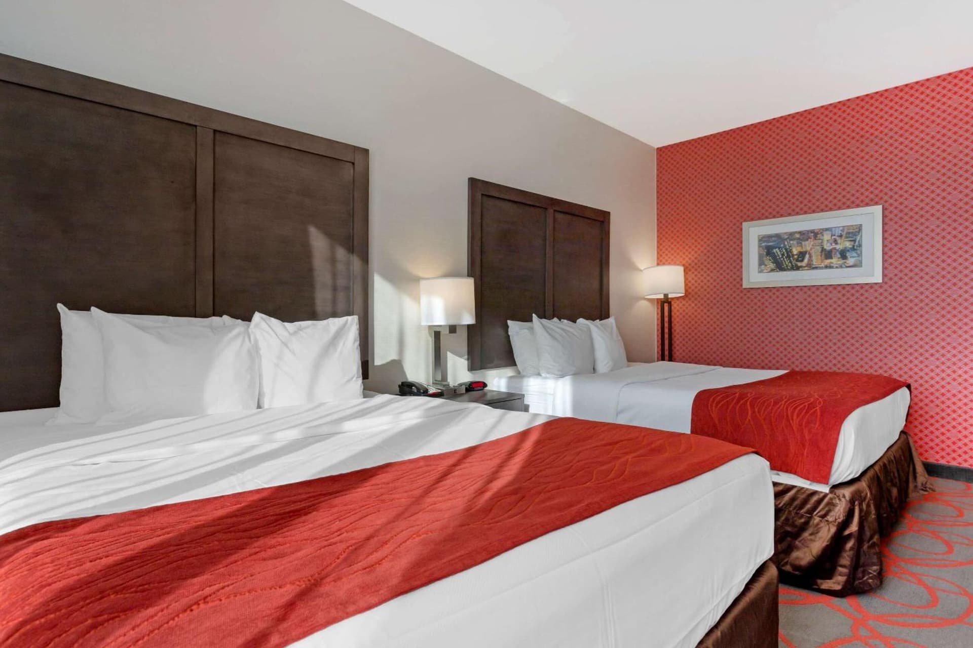 Comfort Inn & Suites near Stadium gallery photo in Bronx, NY — image 11
