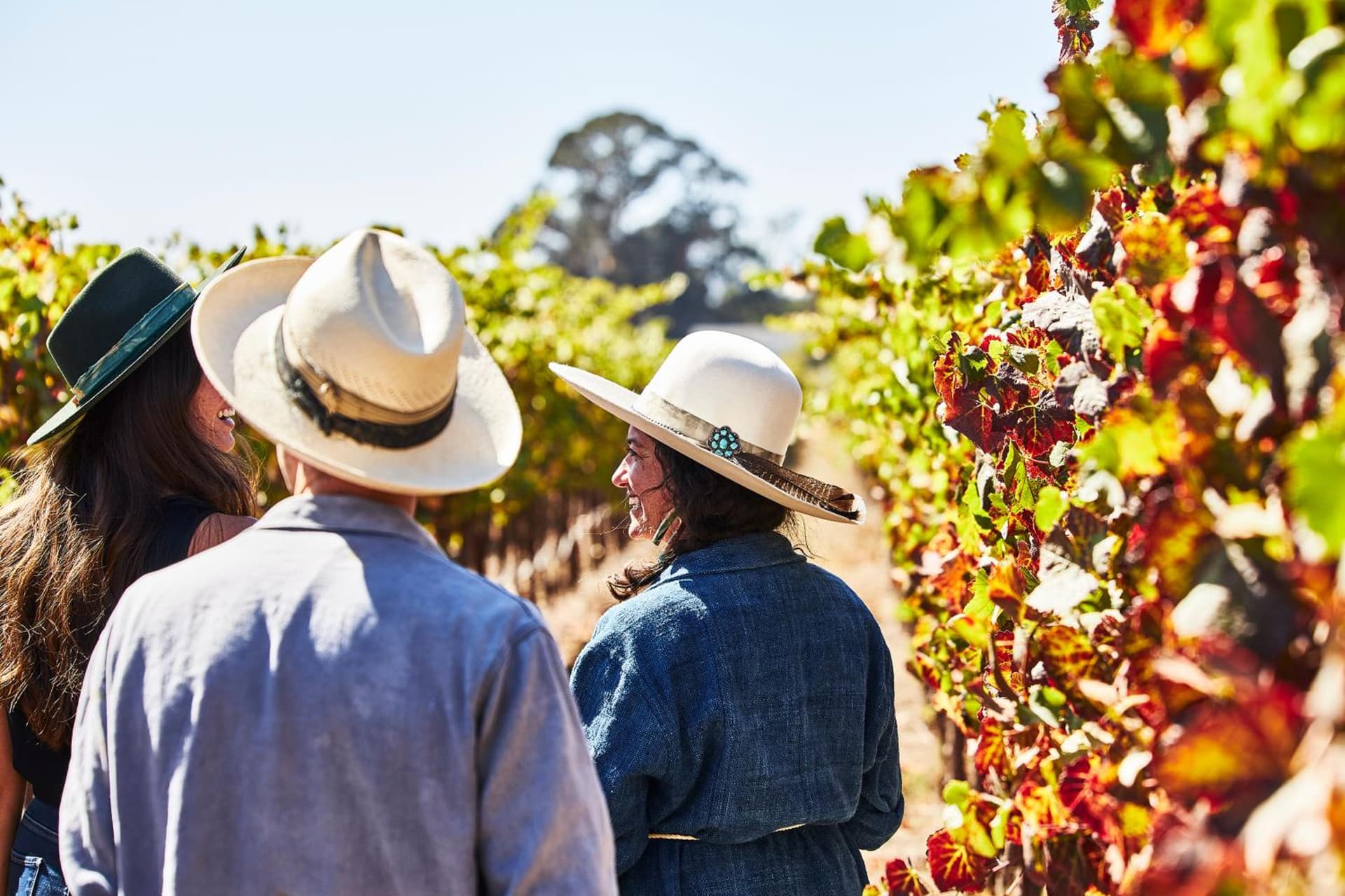 Stanly Ranch, Auberge Collection gallery photo in Napa, CA — image 54