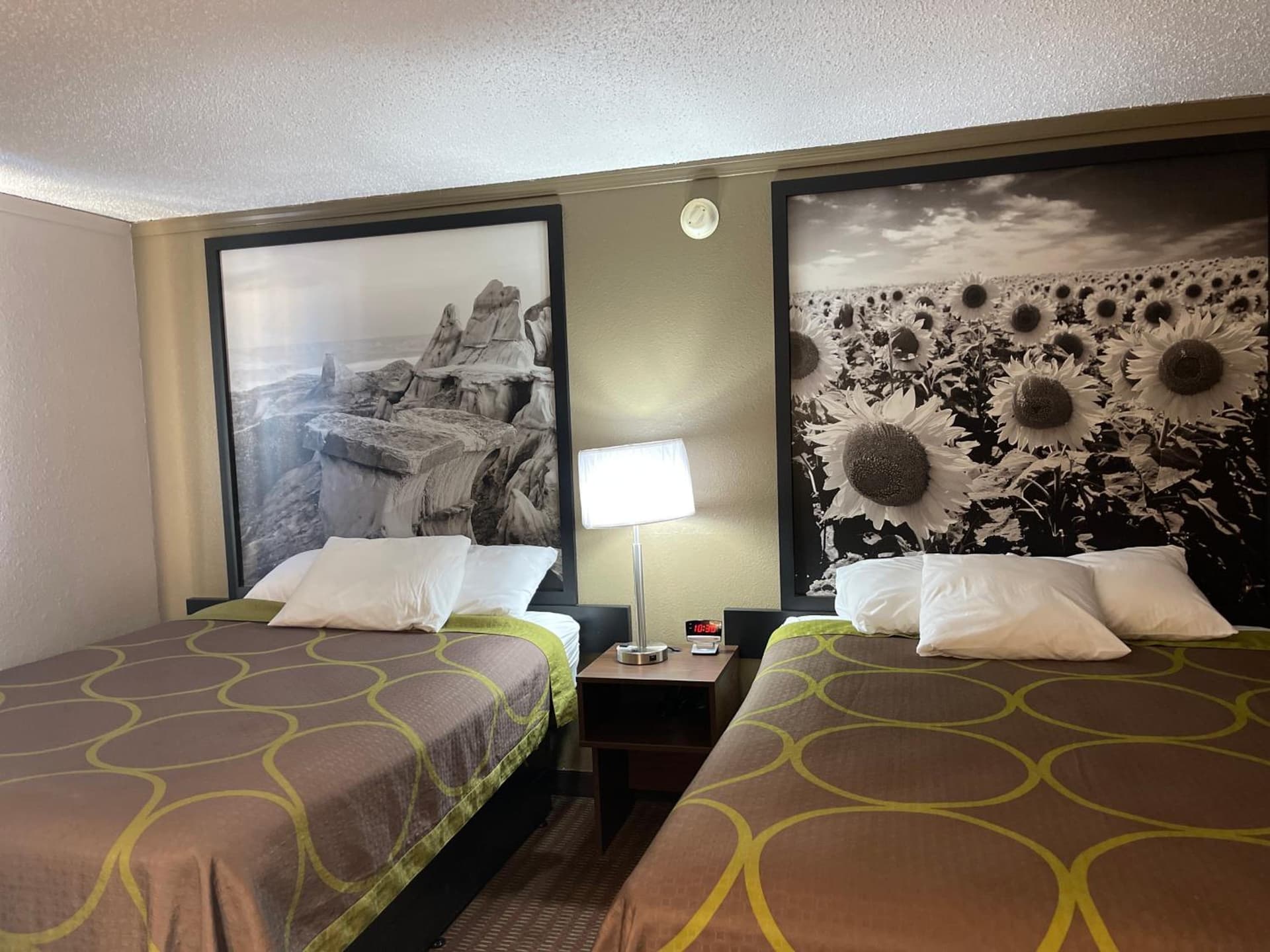 Super 8 by Wyndham Bismarck gallery photo in Bismarck, ND — image 22