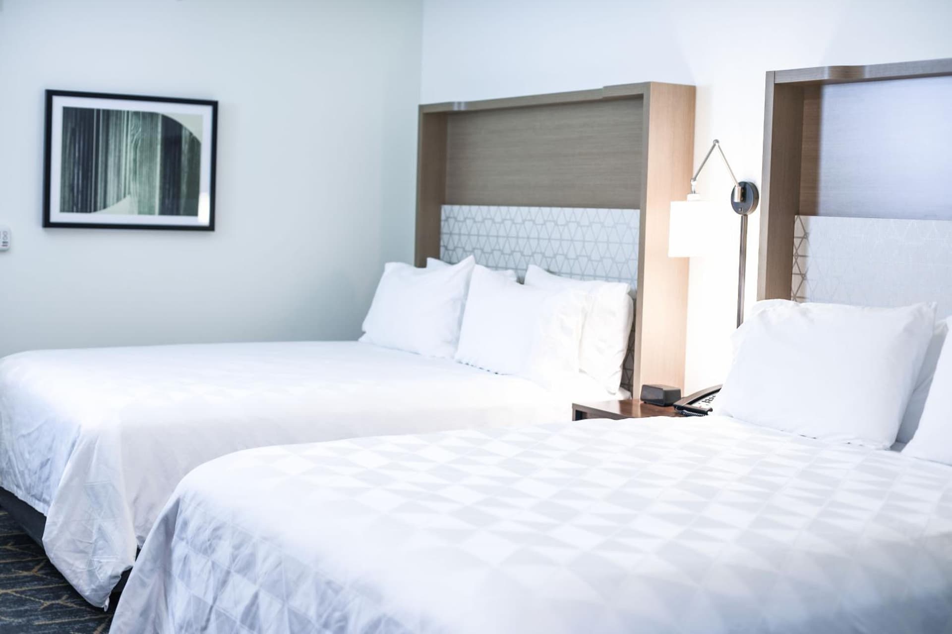 Holiday Inn & Suites St. Cloud by IHG gallery photo in Saint Cloud, MN — image 34