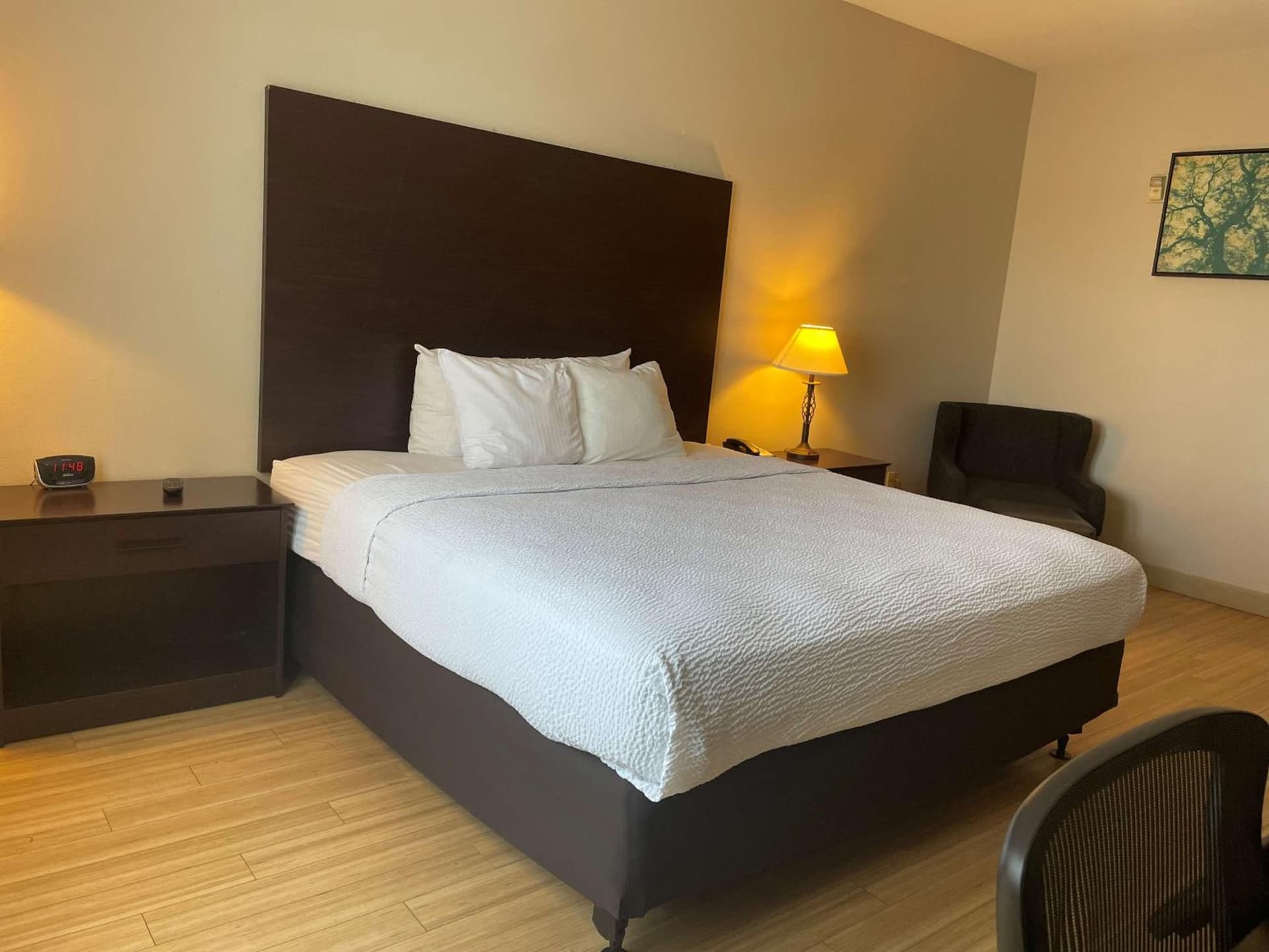 Best Western I-5 Inn & Suites gallery photo in Lodi, CA — image 9