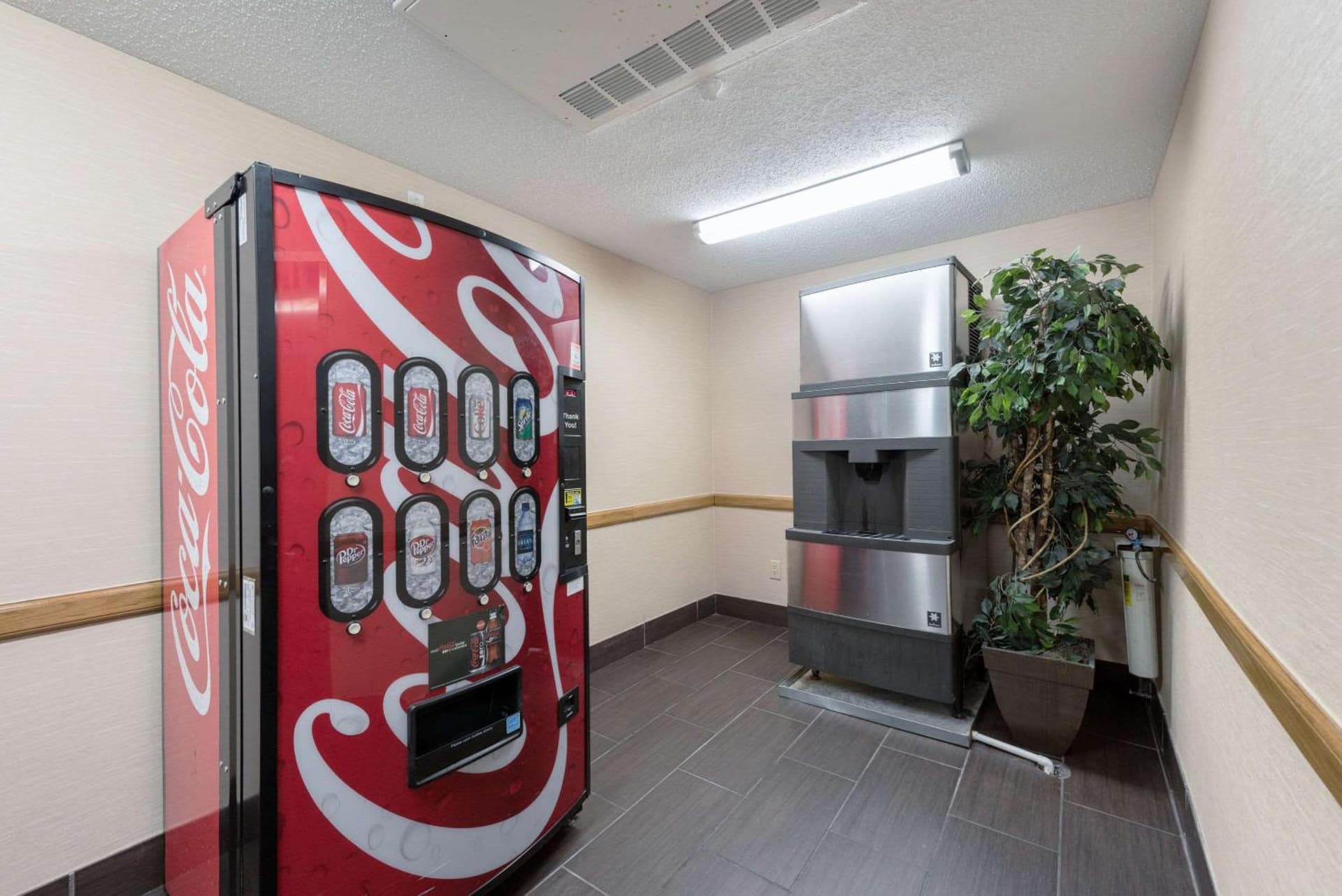 Comfort Suites Monroe gallery photo in Monroe, LA — image 27