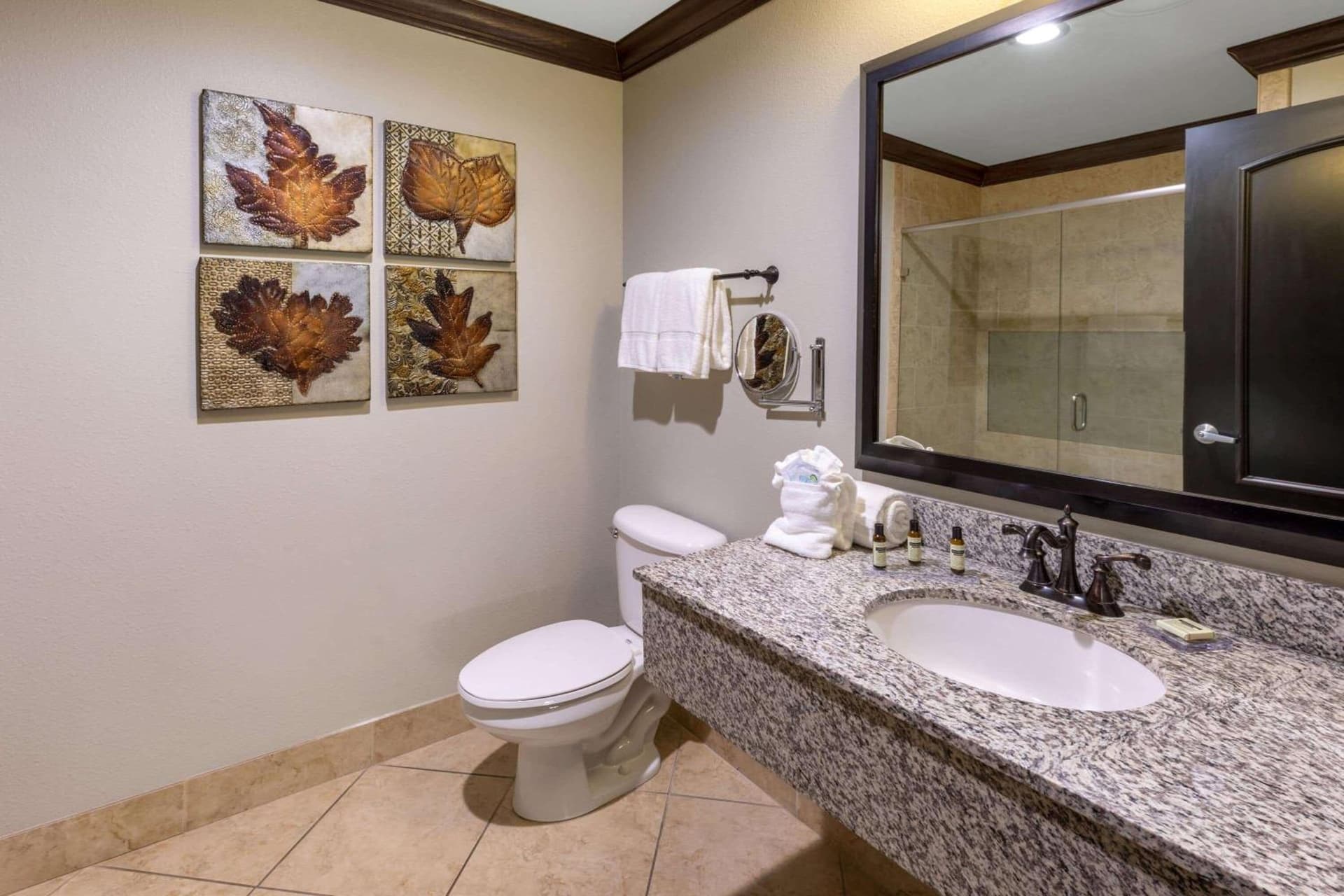 Hawthorn Suites by Wyndham Lubbock gallery photo in Lubbock, TX — image 57