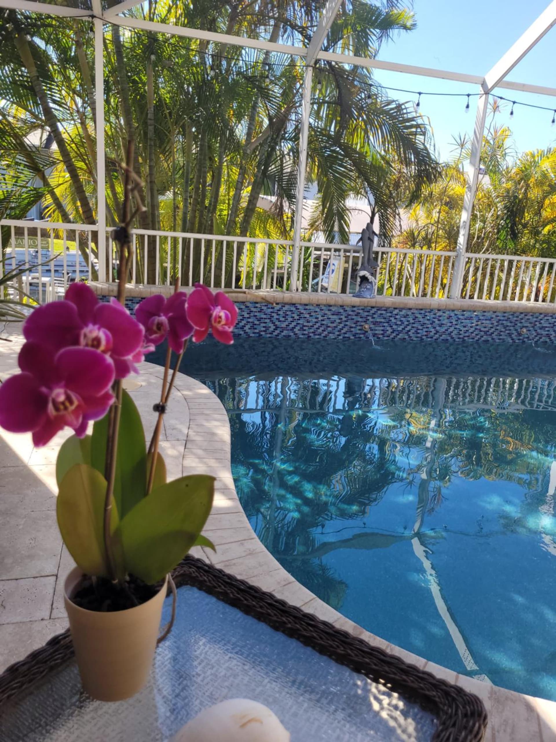 Cape Paradise Resort - Your Luxury Tropical Retreat gallery photo in Cape Coral, FL — image 27