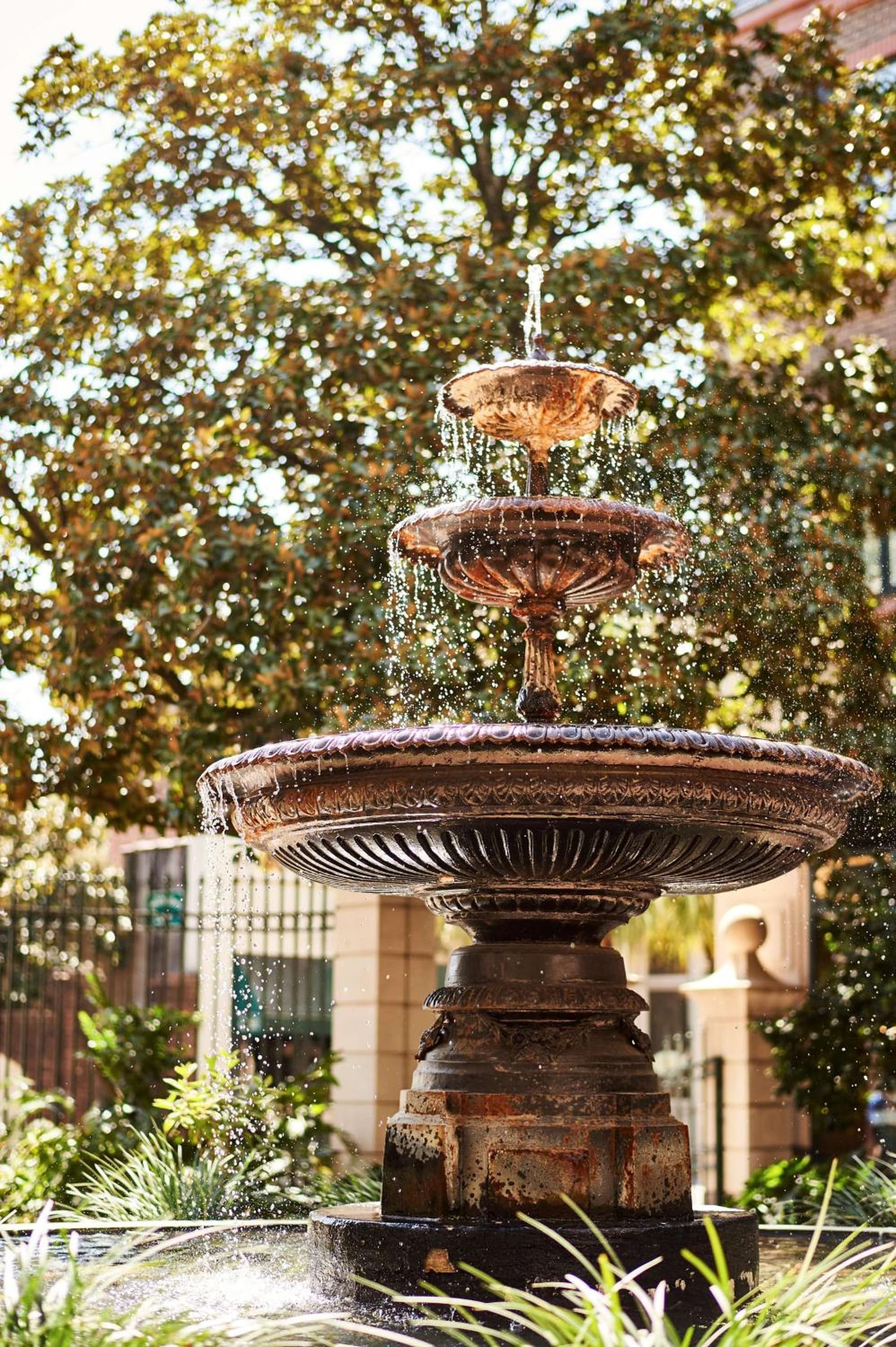 The Charleston Place property views in Charleston, SC — gallery photo 3