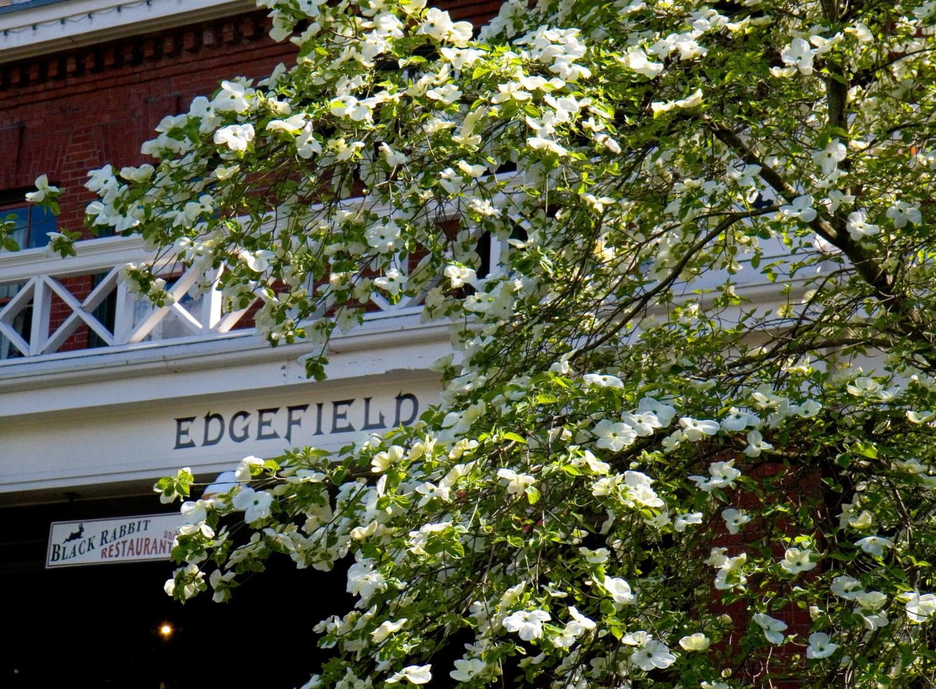 McMenamins Edgefield gallery photo in Troutdale, OR — image 23