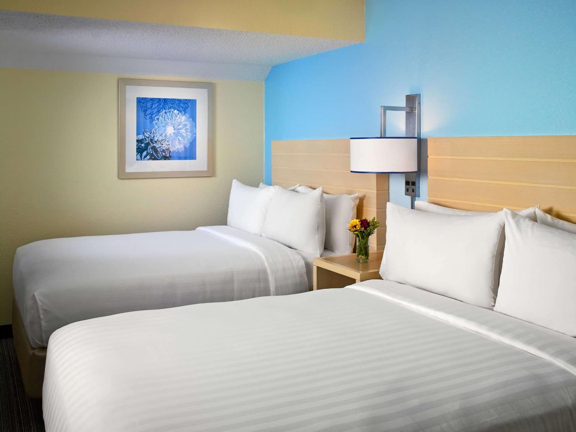 Sonesta ES Suites Burlington gallery photo in Burlington, VT — image 5