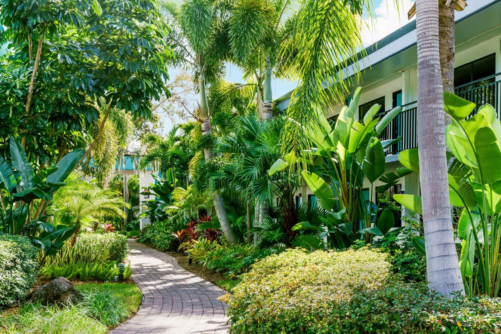 Coco Key Hotel & Water Park Resort gallery photo in Orlando, FL — image 53