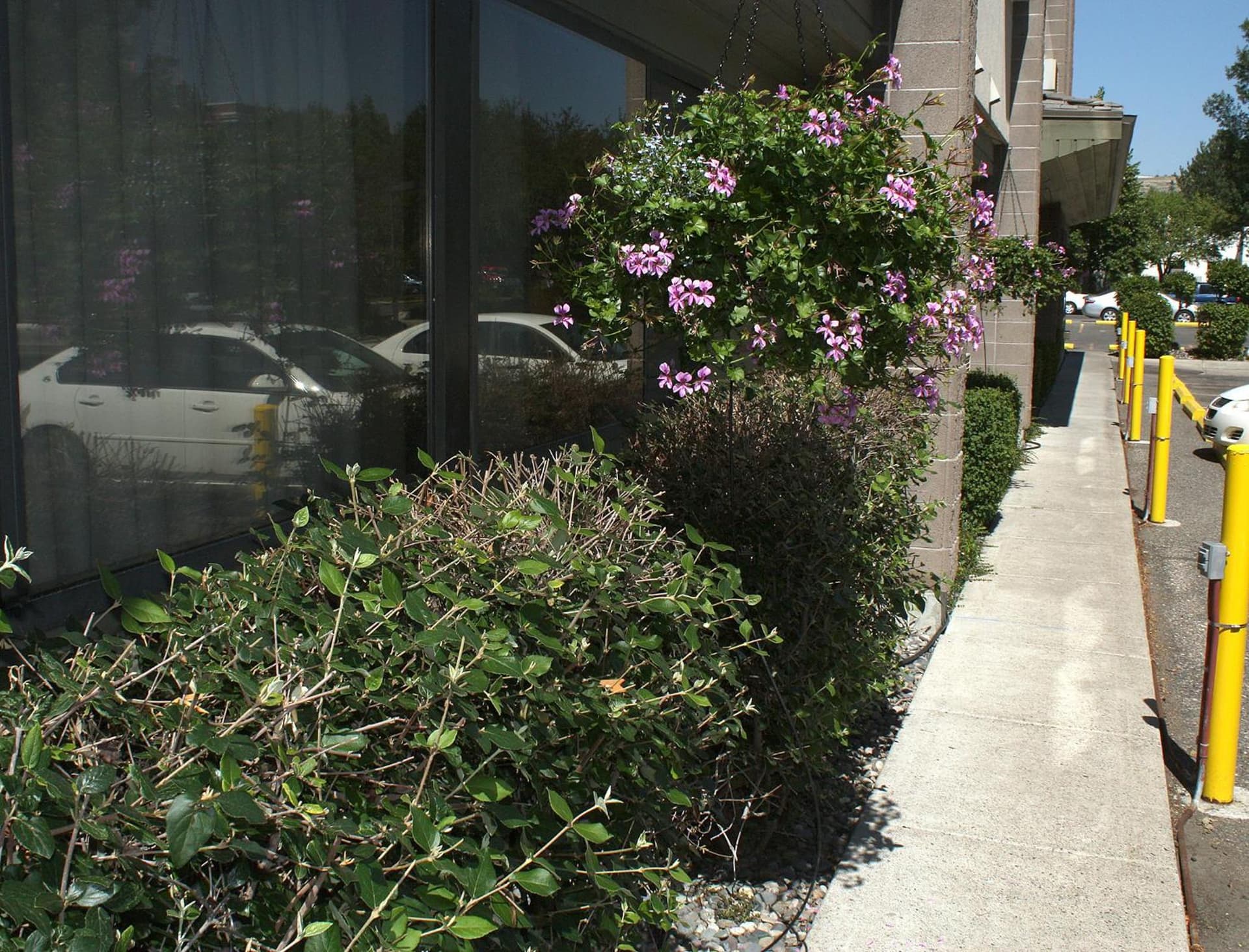 Riversage Billings Inn gallery photo in Billings, MT — image 14