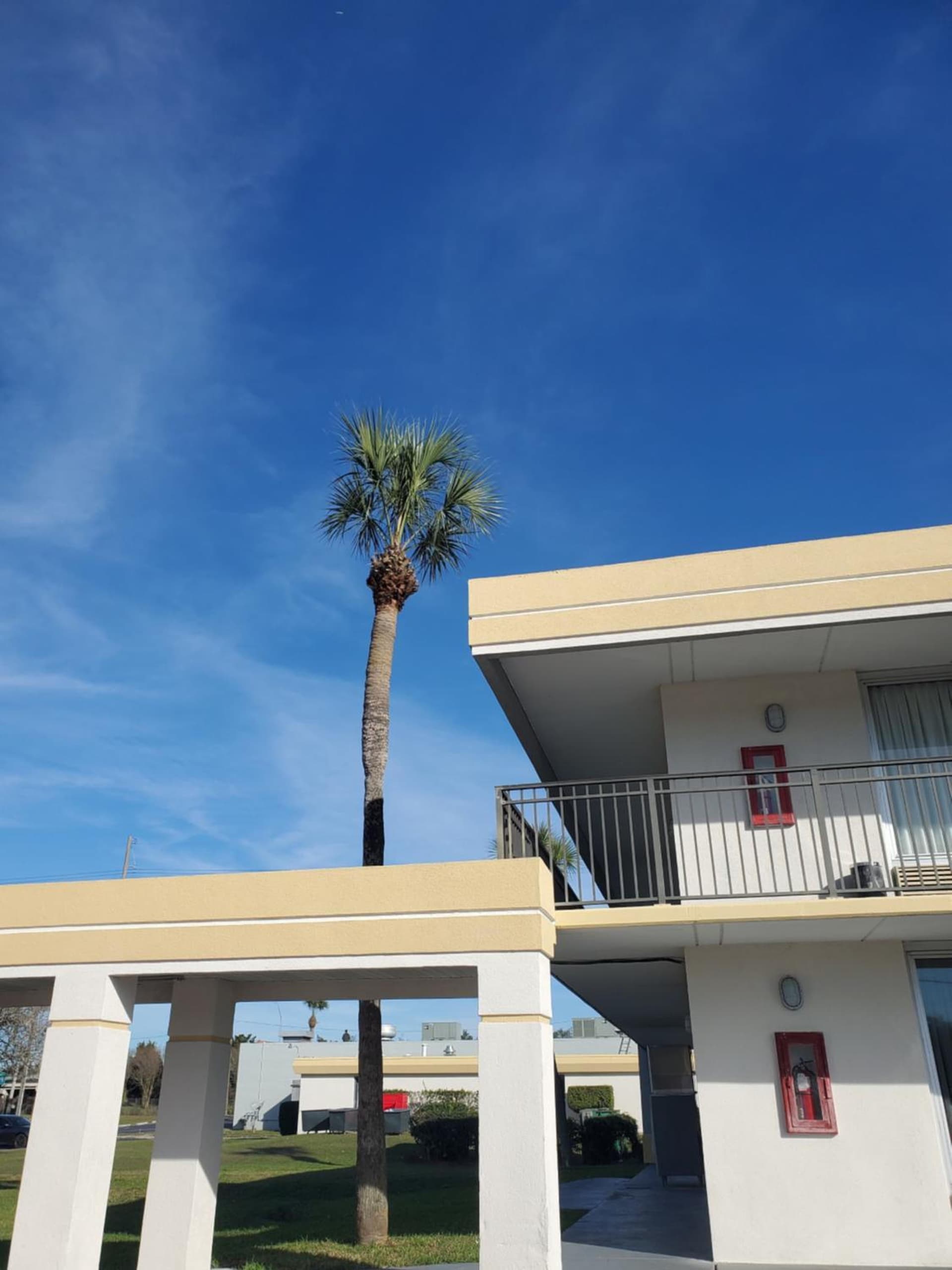 Super 8 by Wyndham Ocala I-75 gallery photo in Ocala, FL — image 31