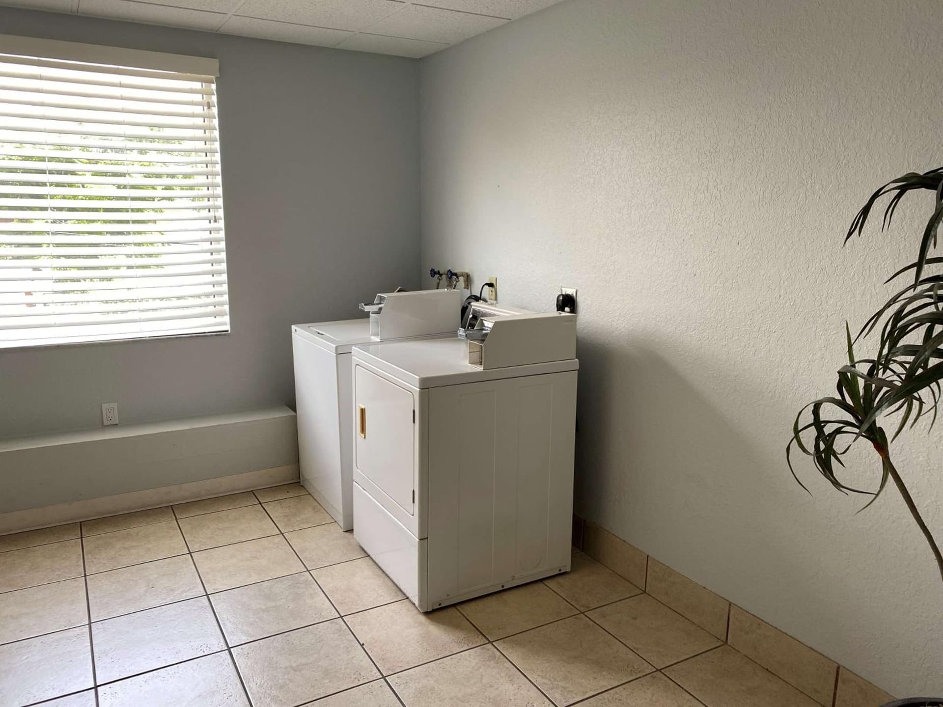 Best Western Tampa gallery photo in Tampa, FL — image 23