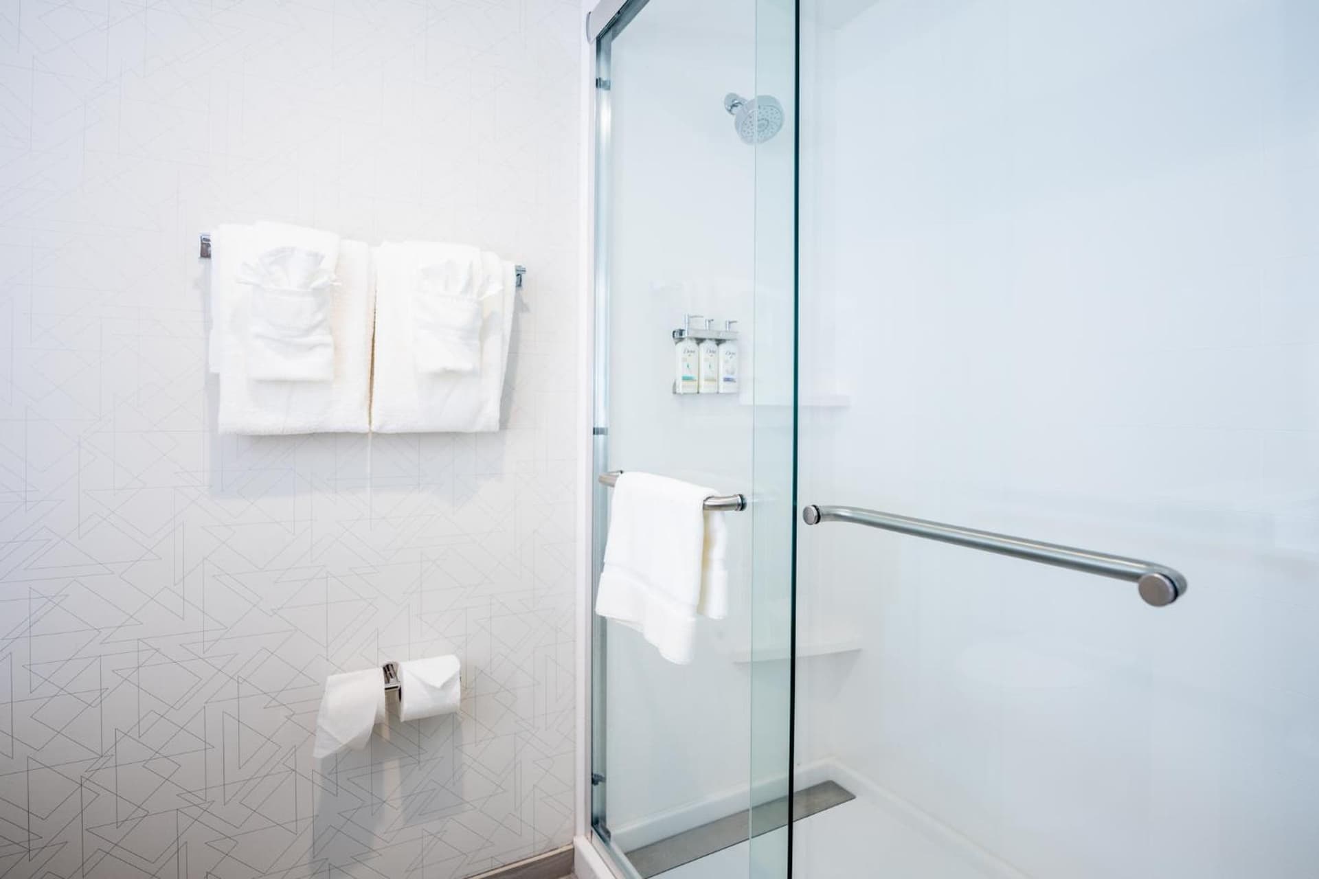 Holiday Inn Express & Suites Charlottesville by IHG gallery photo in Charlottesville, VA — image 169