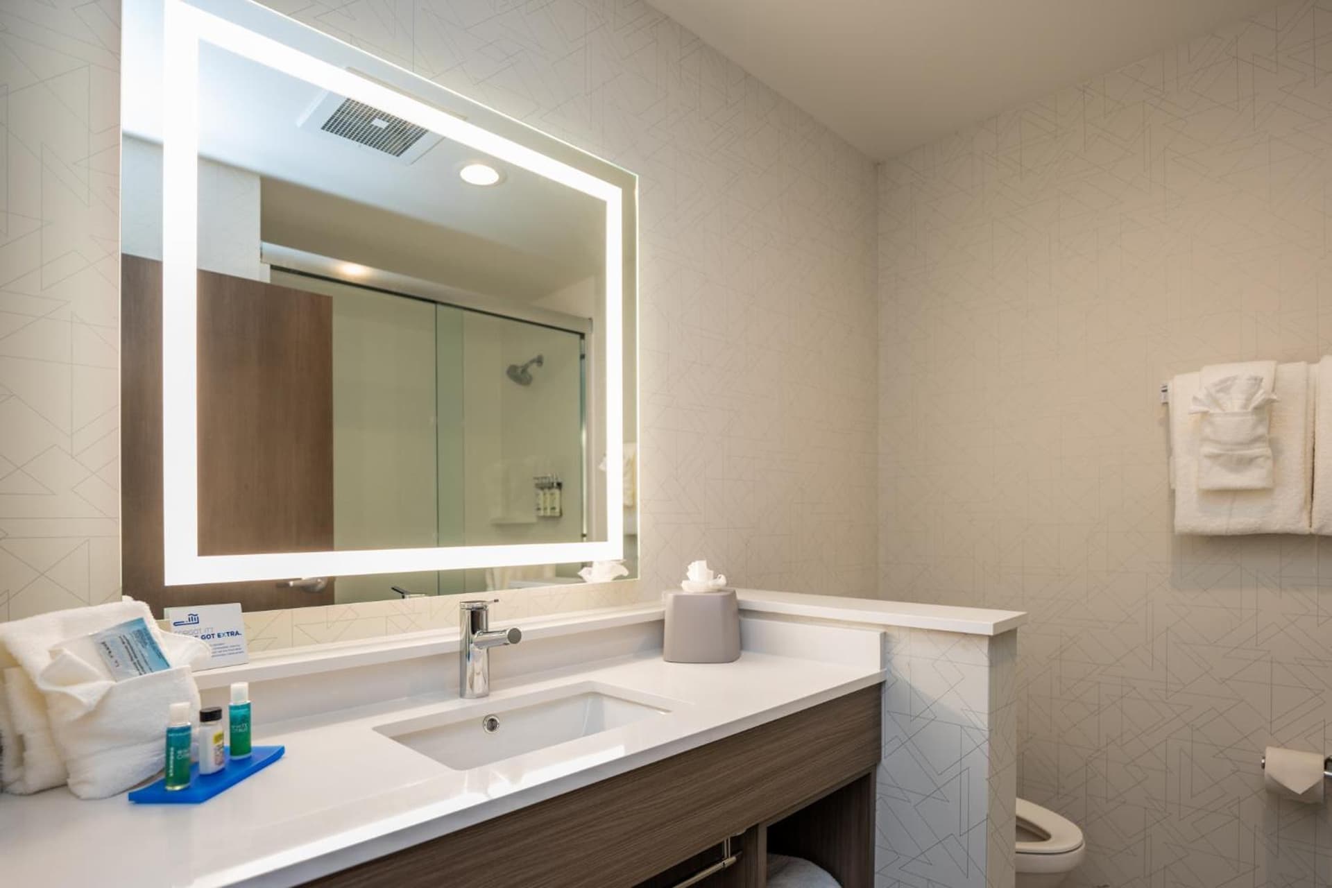 Holiday Inn Express & Suites Charlottesville by IHG gallery photo in Charlottesville, VA — image 110