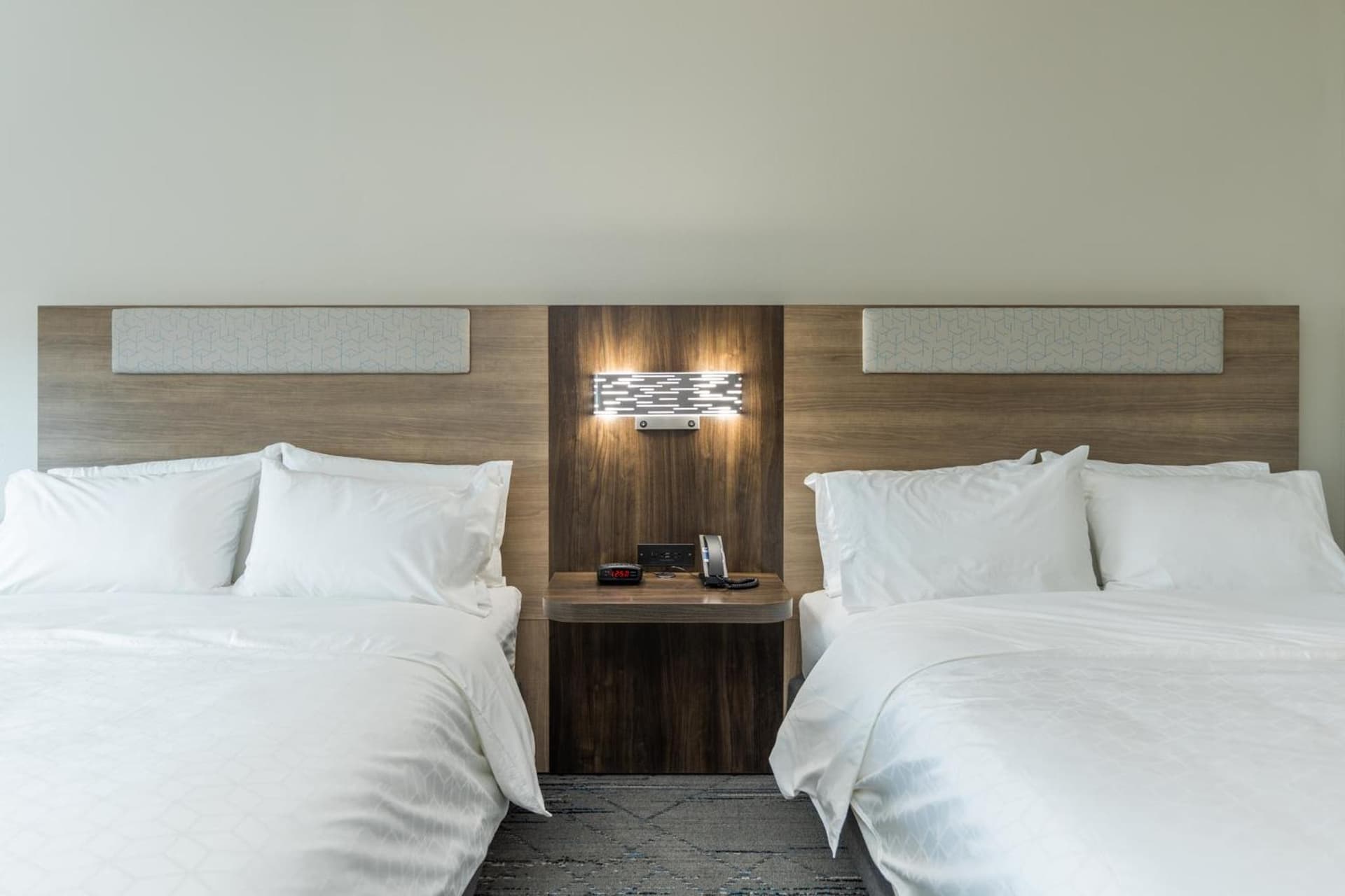 Holiday Inn Express & Suites Charlottesville by IHG gallery photo in Charlottesville, VA — image 22