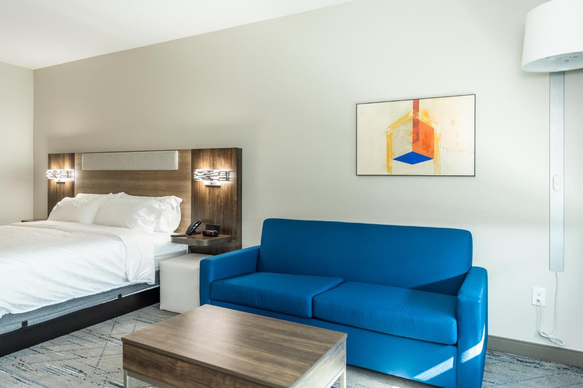 Holiday Inn Express & Suites Charlottesville by IHG gallery photo in Charlottesville, VA — image 48