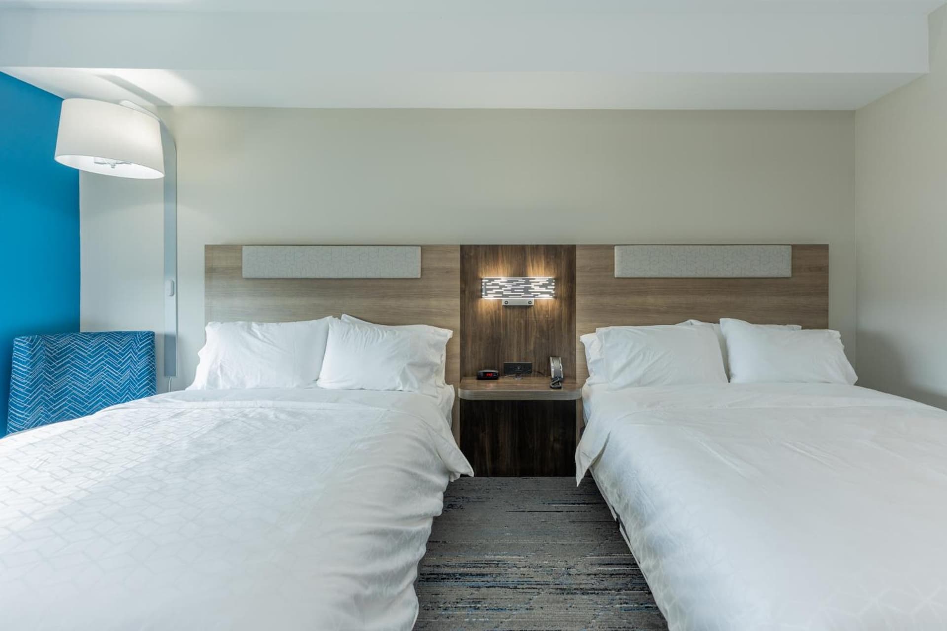 Holiday Inn Express & Suites Charlottesville by IHG gallery photo in Charlottesville, VA — image 10