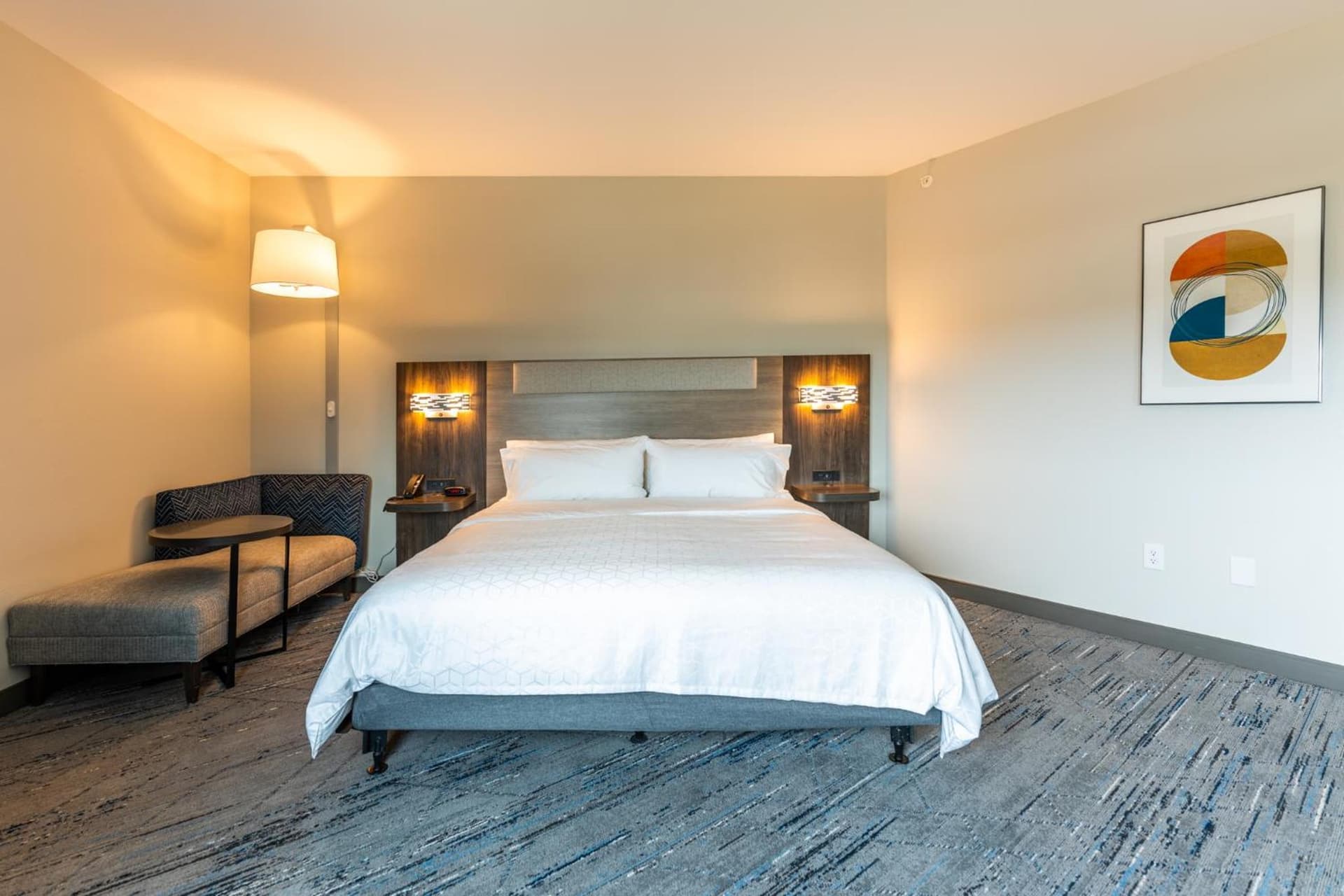 Holiday Inn Express & Suites Charlottesville by IHG gallery photo in Charlottesville, VA — image 106