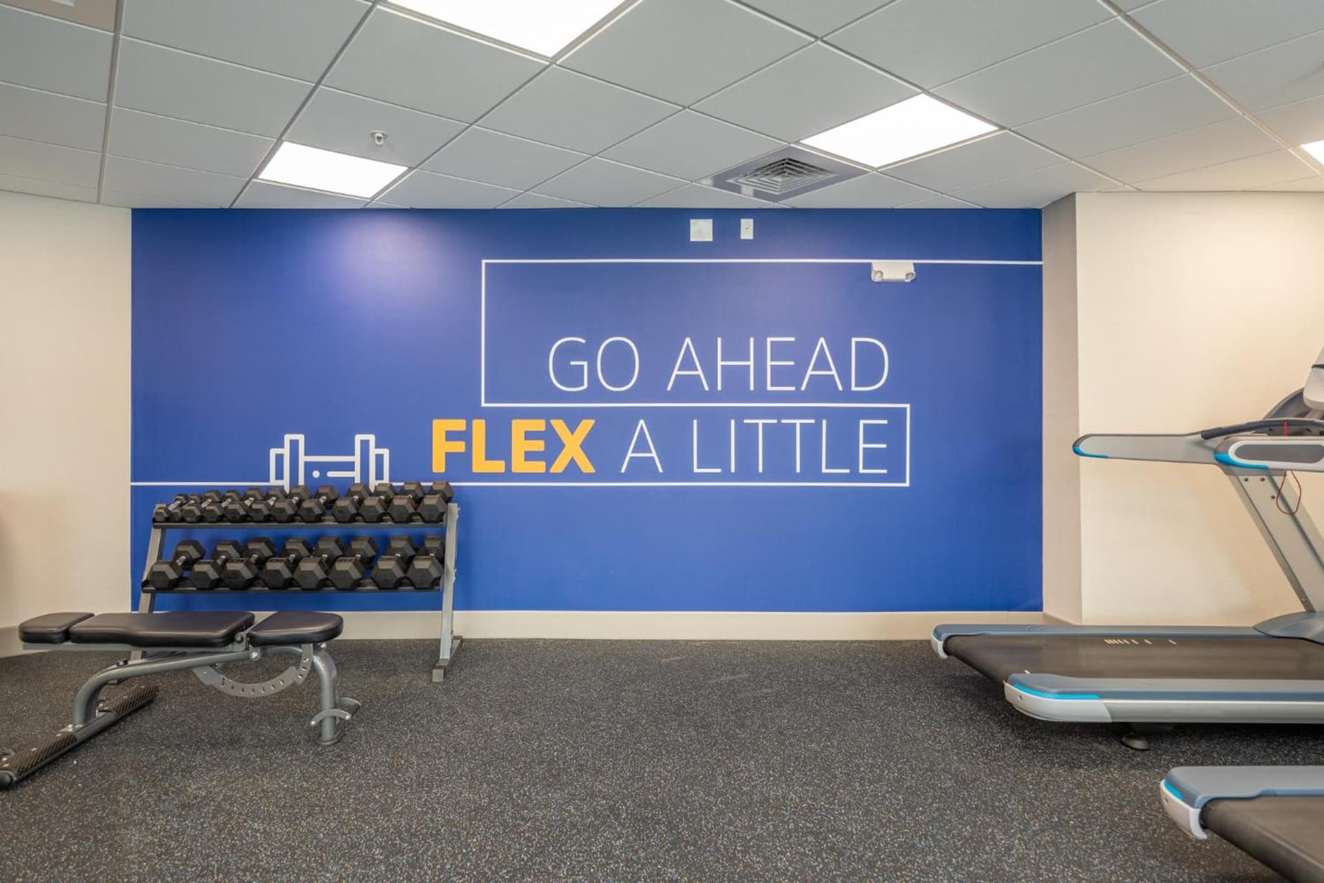 Holiday Inn Express & Suites Charlottesville by IHG gallery photo in Charlottesville, VA — image 81