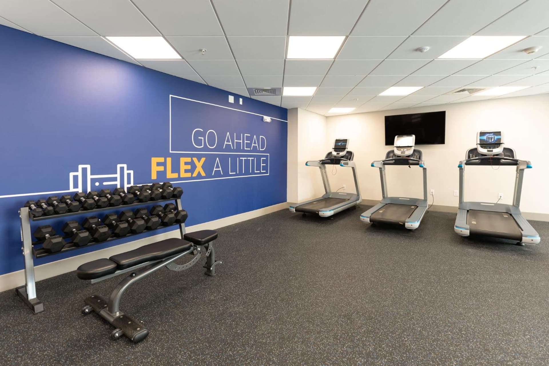 Holiday Inn Express & Suites Charlottesville by IHG gallery photo in Charlottesville, VA — image 39