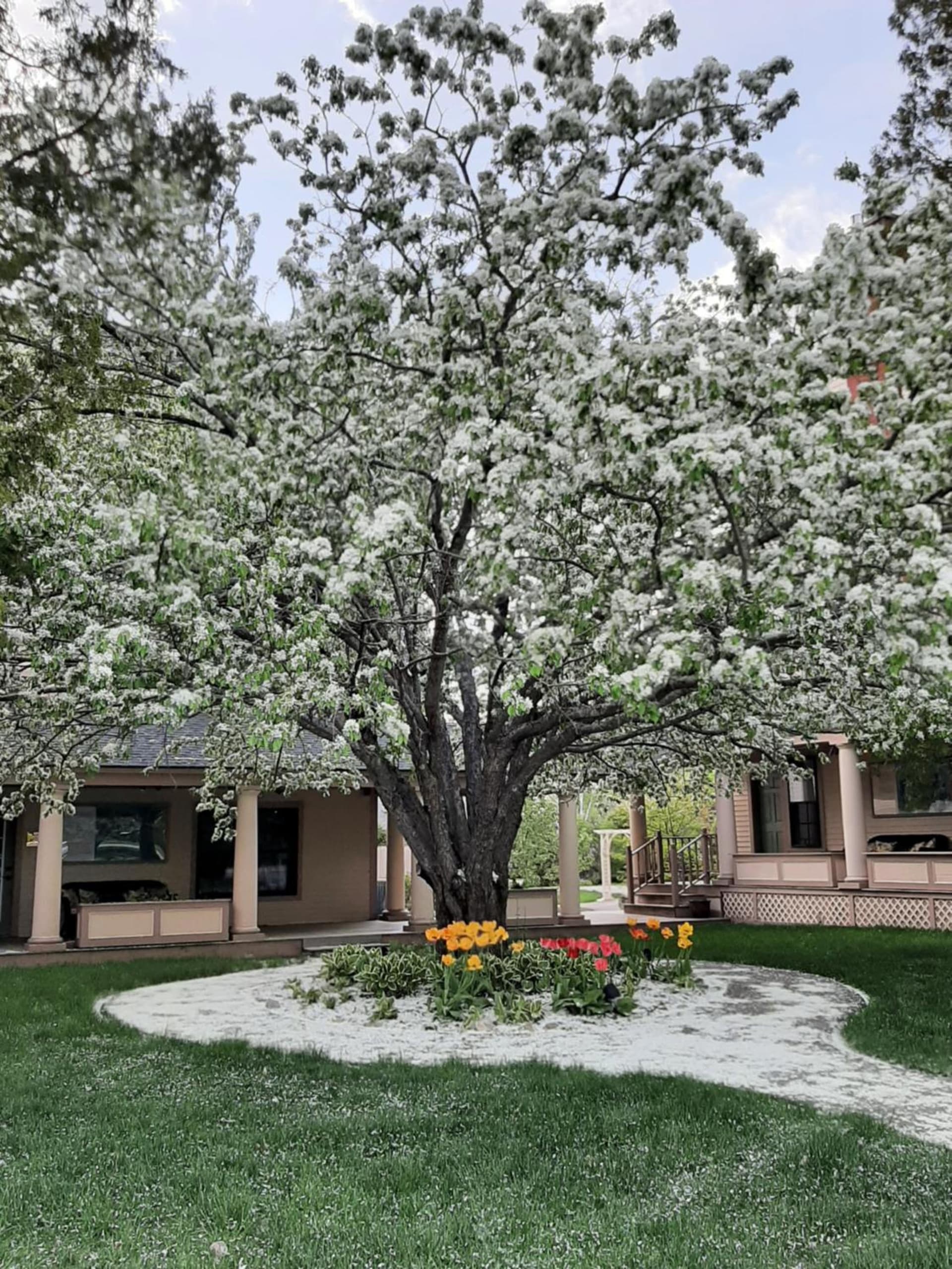 The Wentworth gallery photo in Jackson — image 24