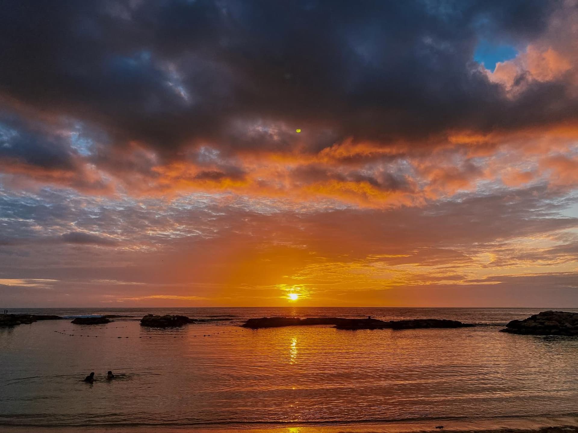 Ohia Waikiki Studio Suites gallery photo in Honolulu, HI — image 13