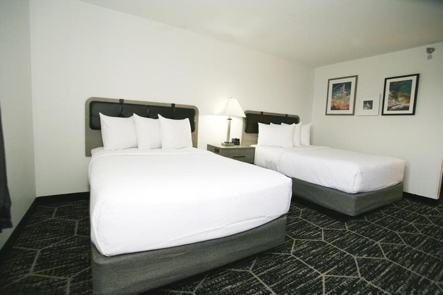La Quinta by Wyndham Des Moines West Clive gallery photo in Clive, IA — image 44