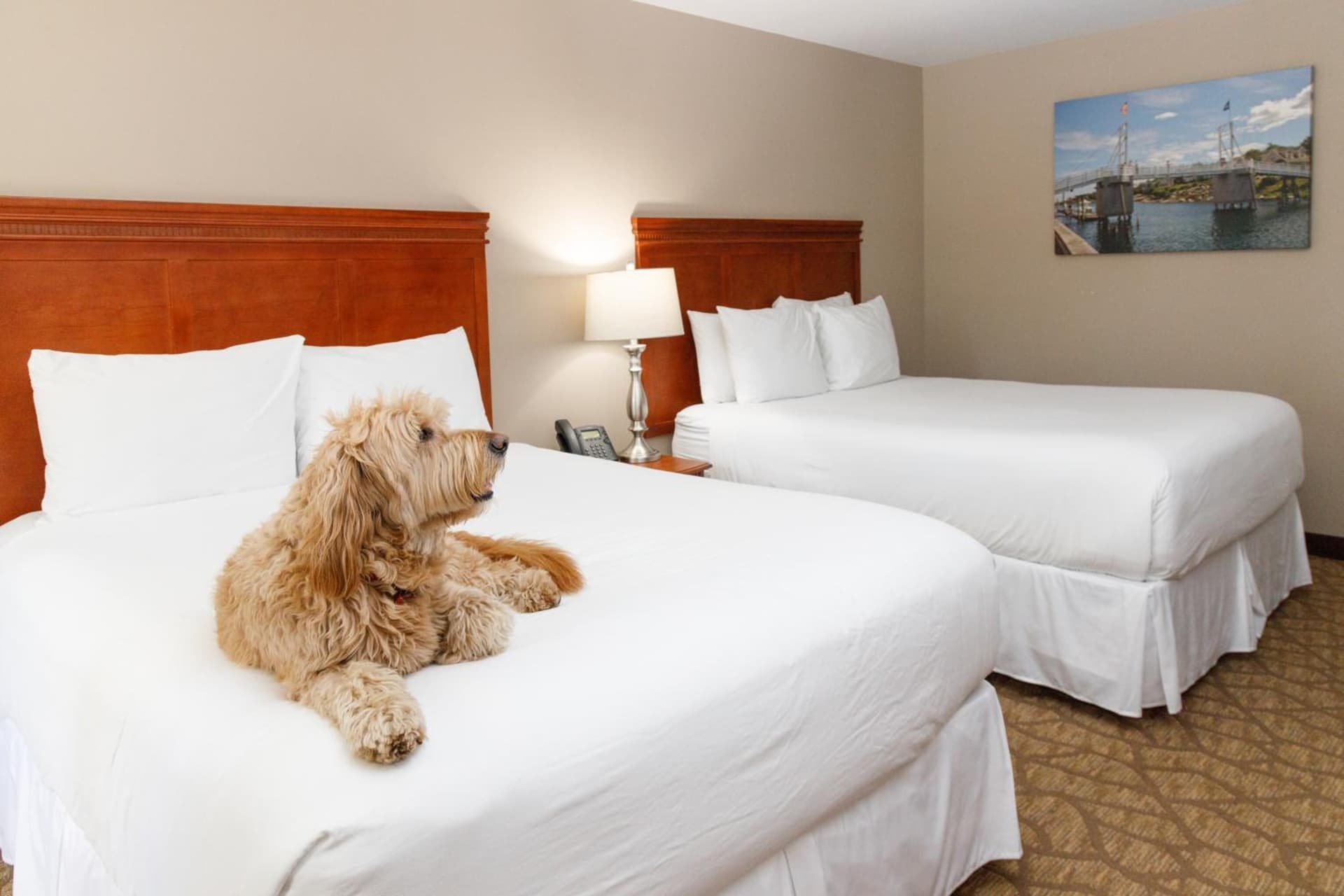 Admiral's Inn Resort gallery photo in Ogunquit — image 41