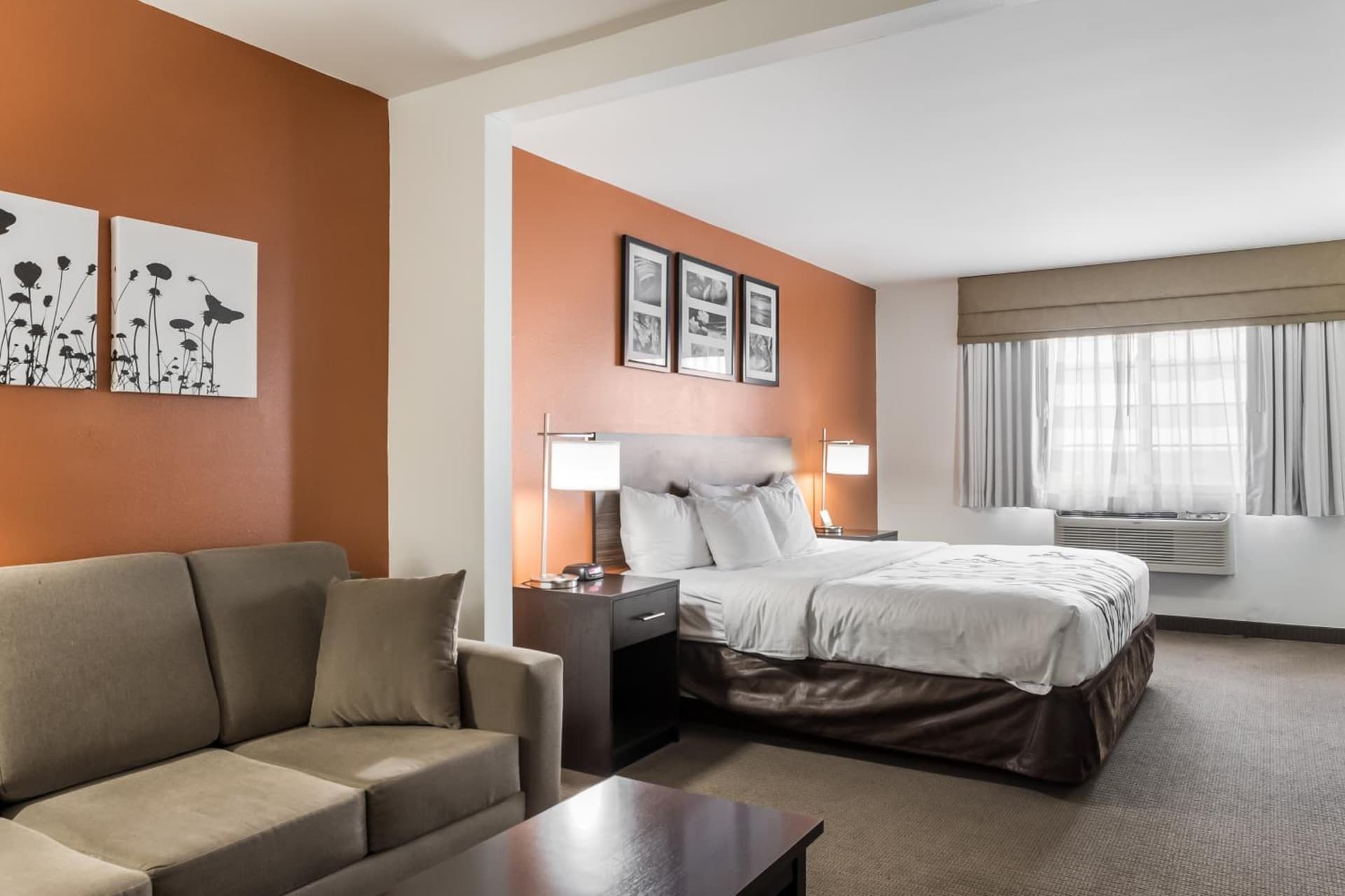 Sleep Inn & Suites North Liberty - Liberty City gallery photo in North Liberty, IA — image 14