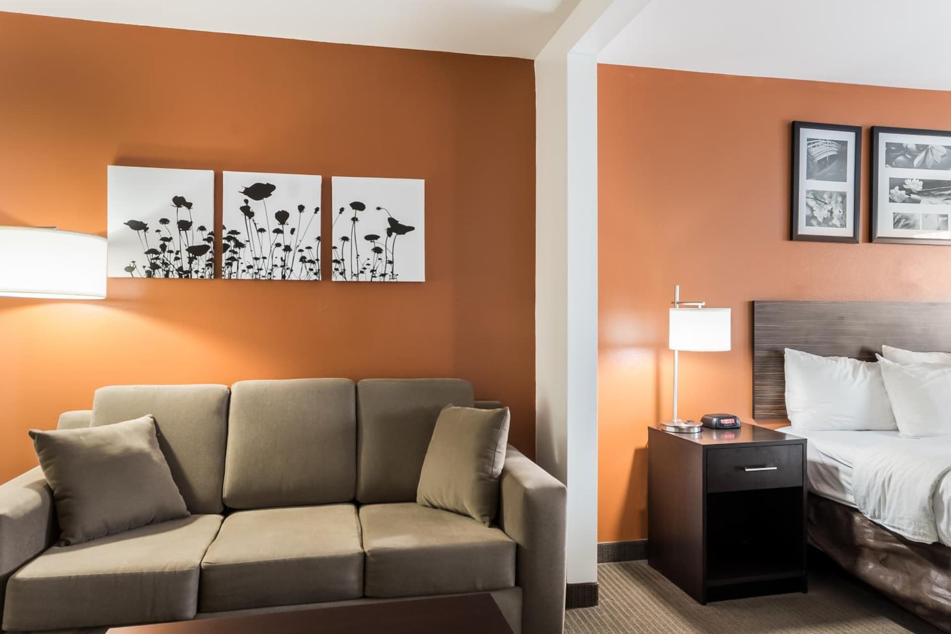 Sleep Inn & Suites North Liberty - Liberty City gallery photo in North Liberty, IA — image 4
