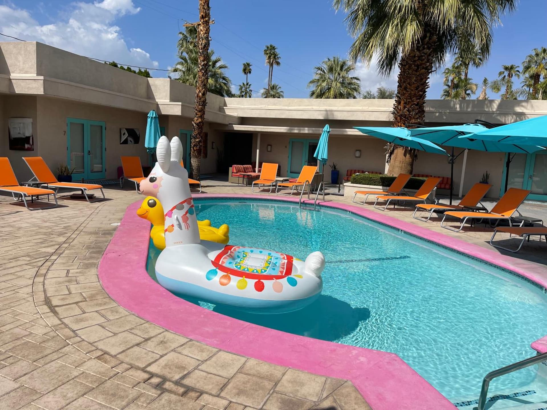 El Noa Noa - 21 and Over gallery photo in Palm Springs, CA — image 50