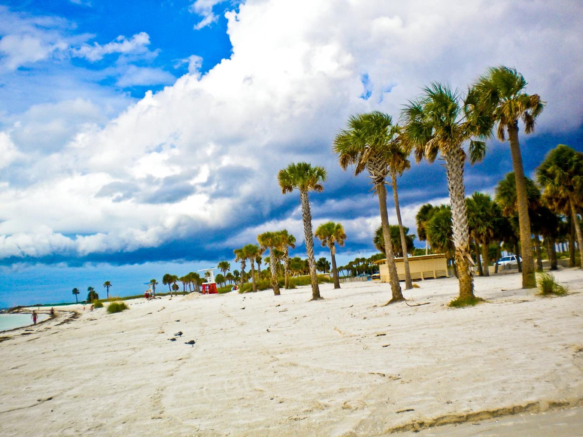 Holiday Inn Express & Suites Trinity by IHG gallery photo in Trinity, FL — image 80
