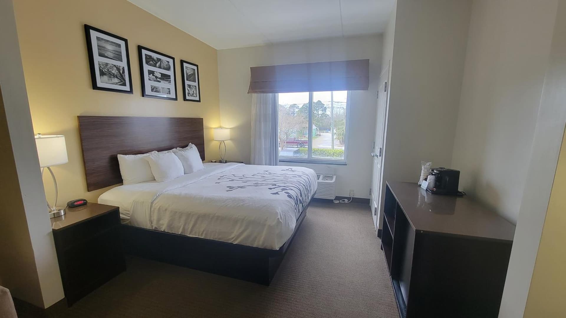 Garner Hotel Panama City Beach Northeast by IHG gallery photo in Panama City Beach, FL — image 21