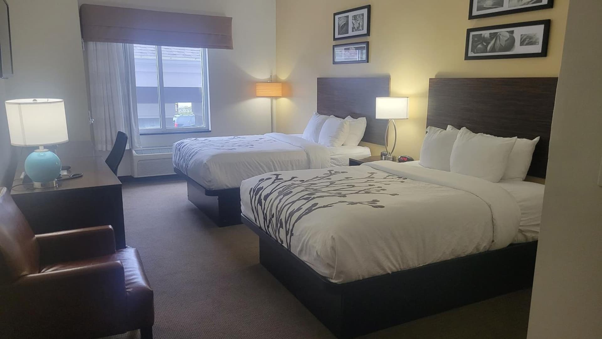 Garner Hotel Panama City Beach Northeast by IHG gallery photo in Panama City Beach, FL — image 12