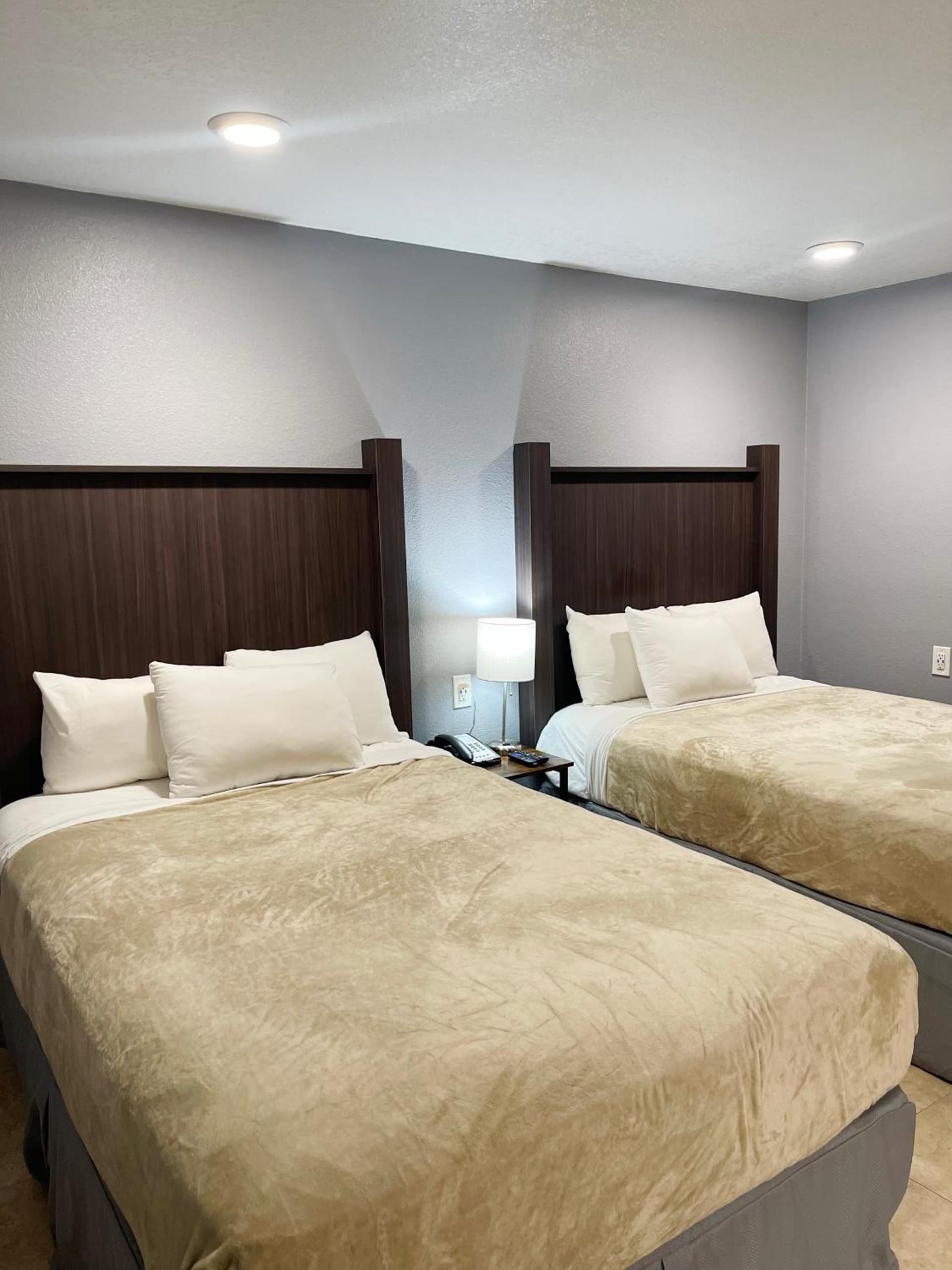 Celebration Suites gallery photo in Orlando, FL — image 11