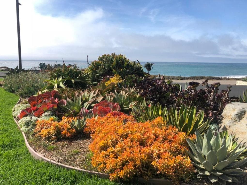 Cambria Shores Inn gallery photo in Cambria, CA — image 103